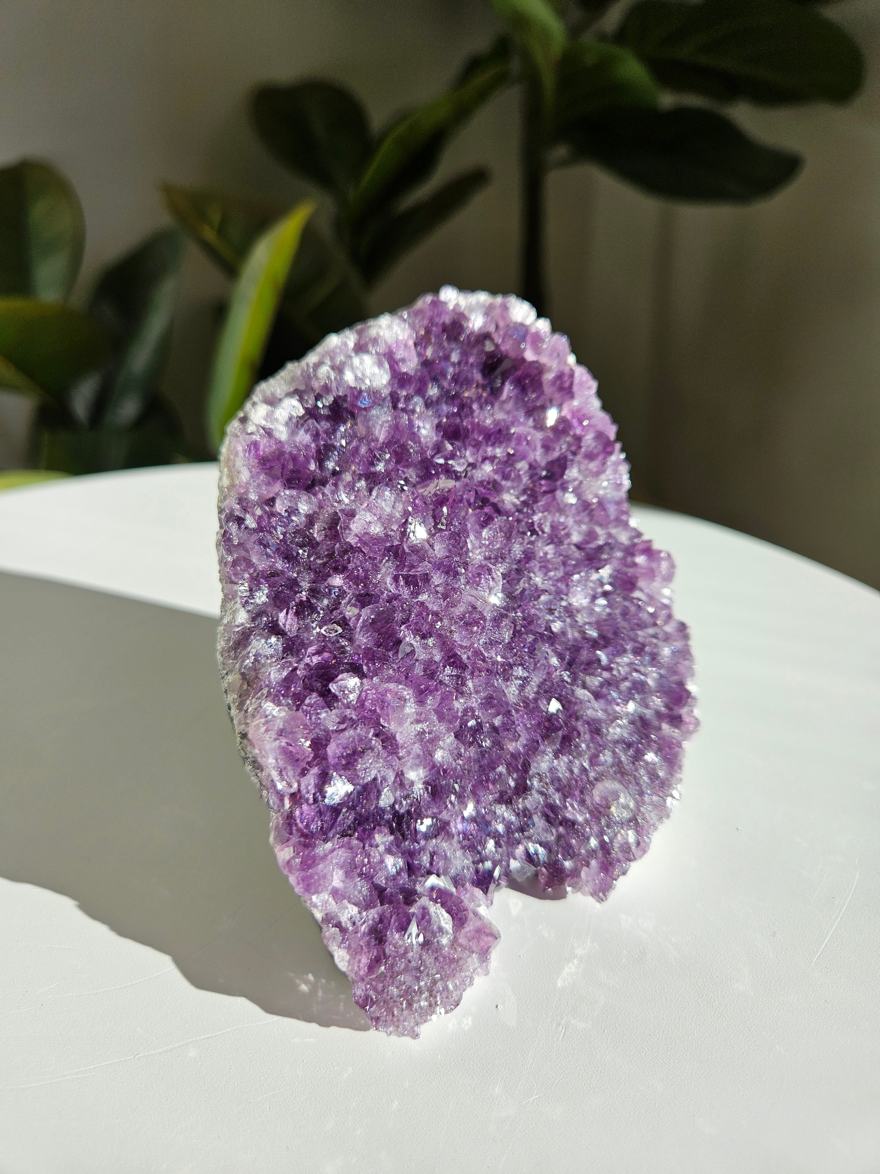 Amethyst Cluster 006