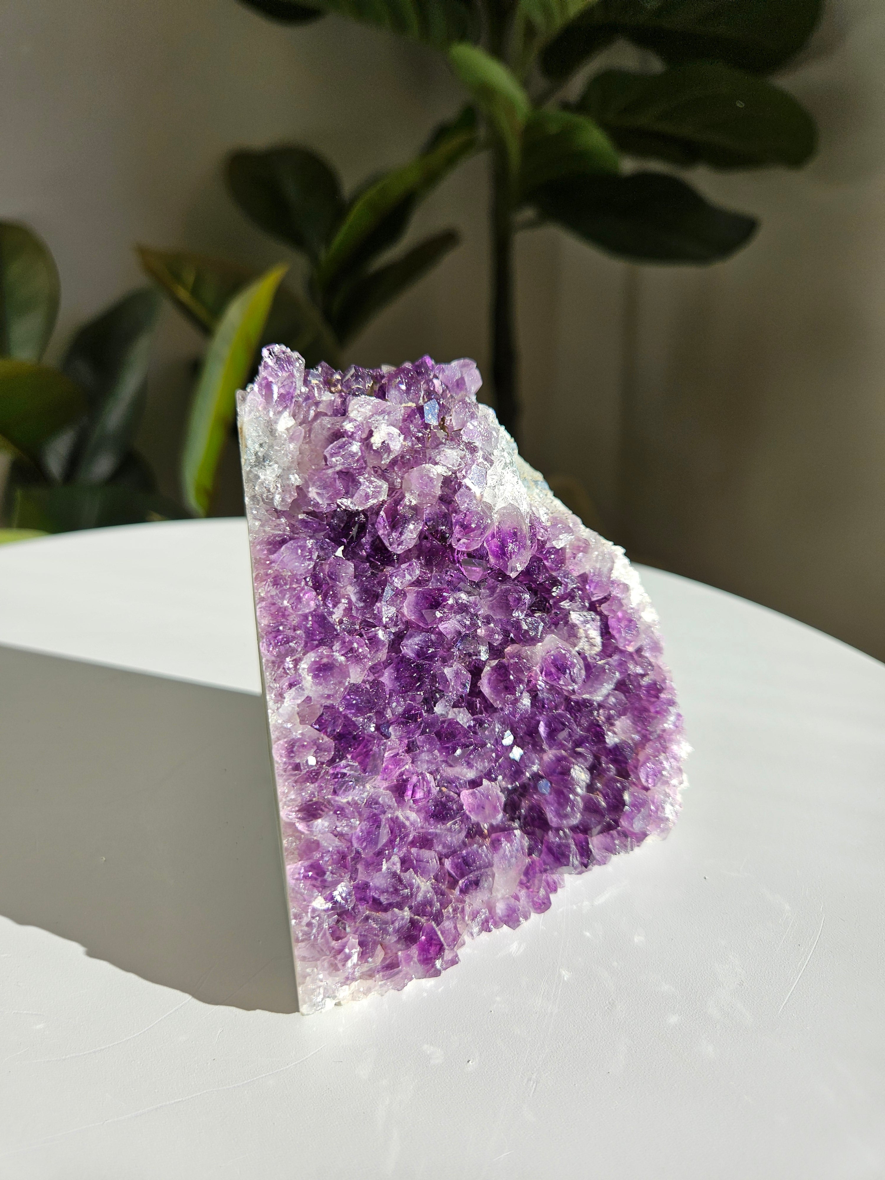 Amethyst Cluster 010