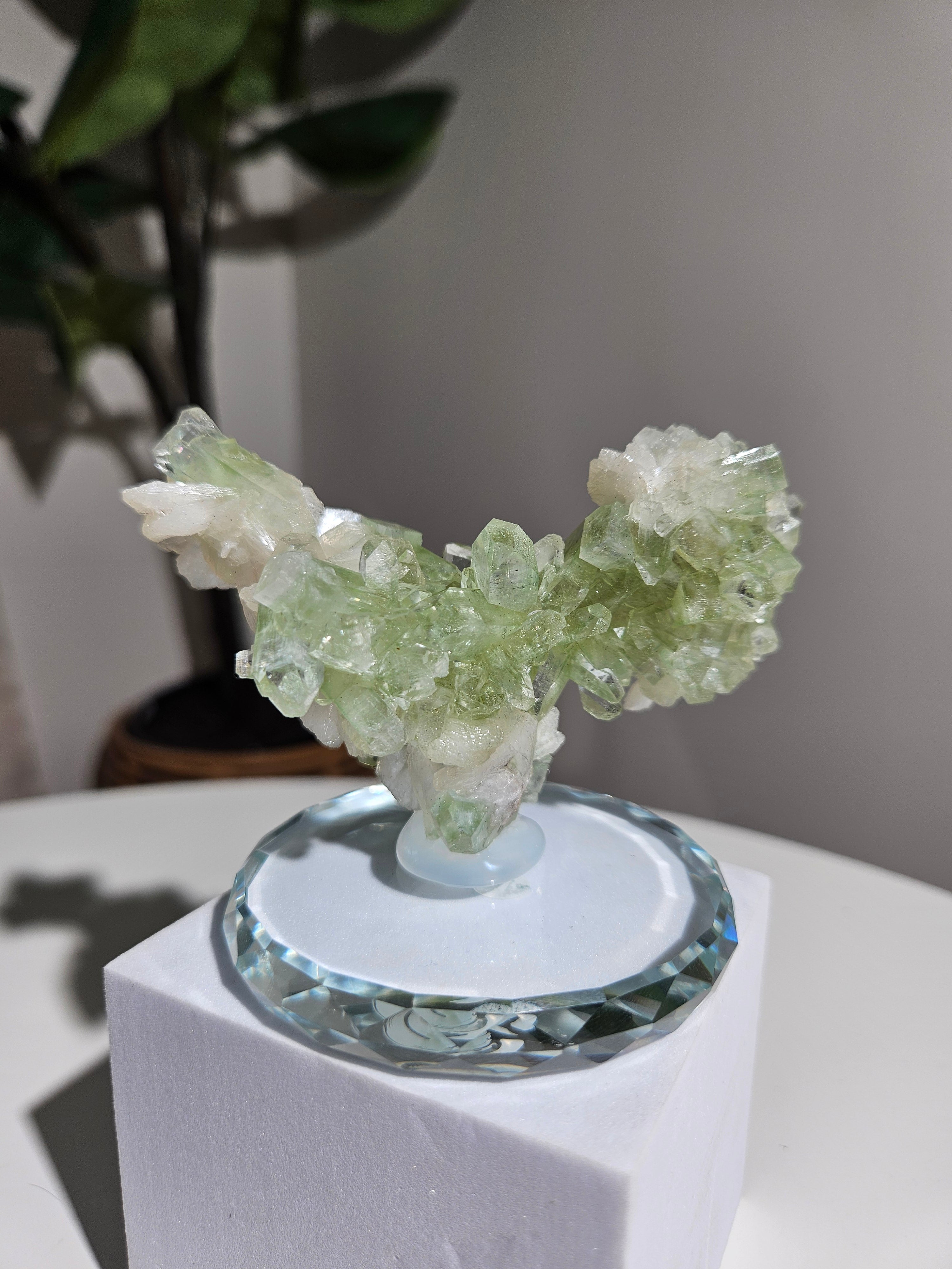 Green Apophyllite Stalactite 002