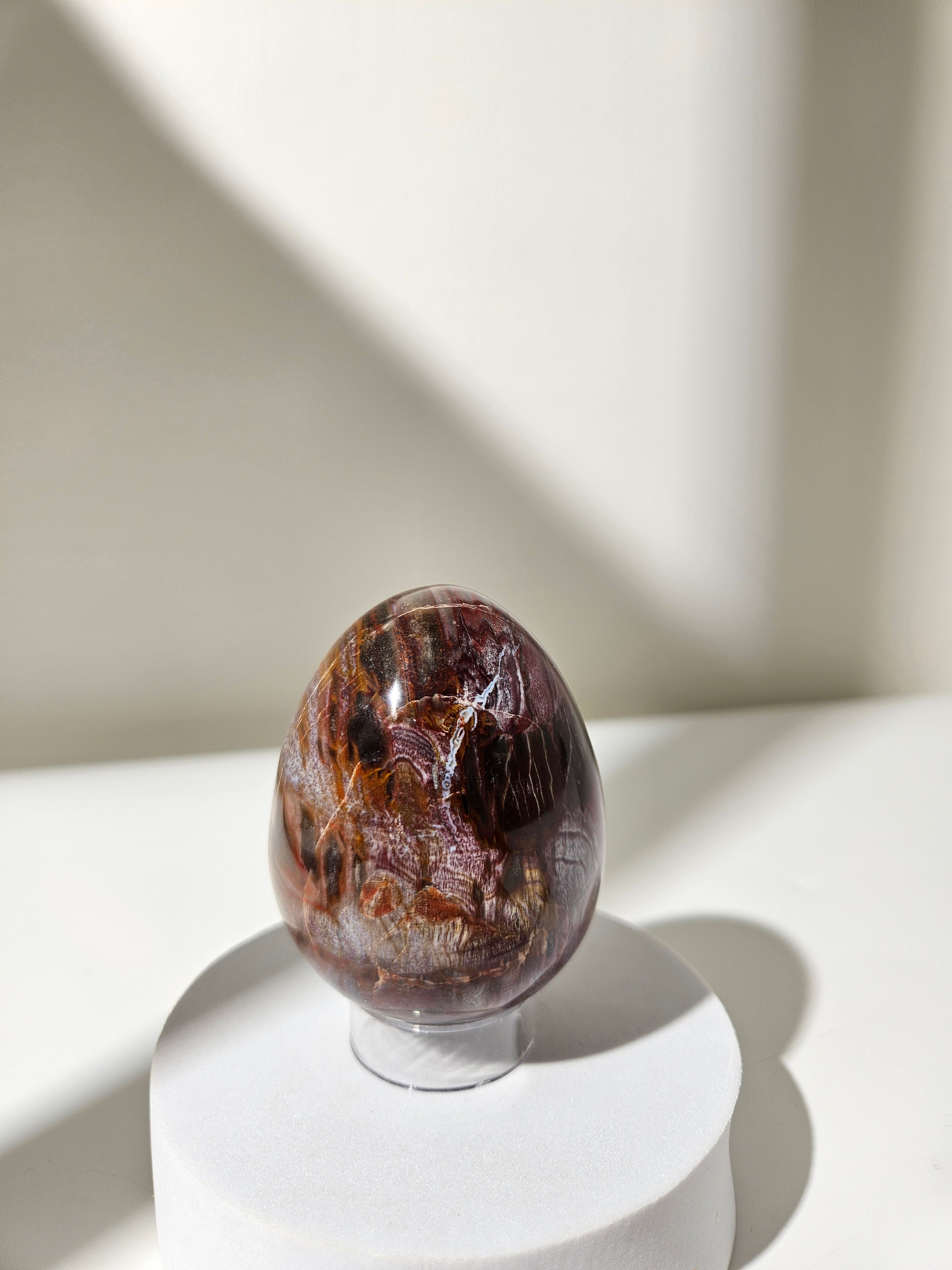 Petrified Wood Egg 001