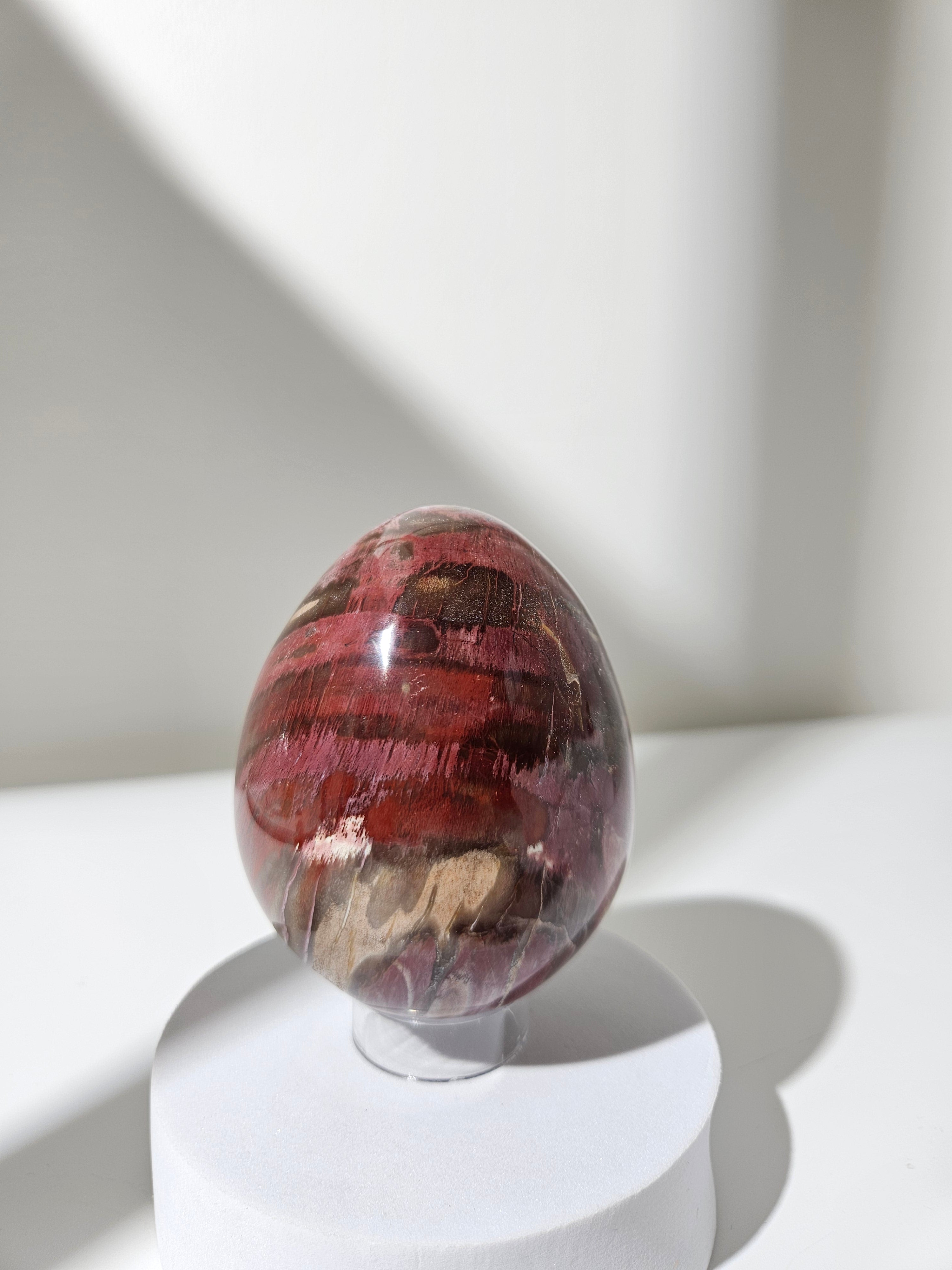 Petrified Wood Egg 003