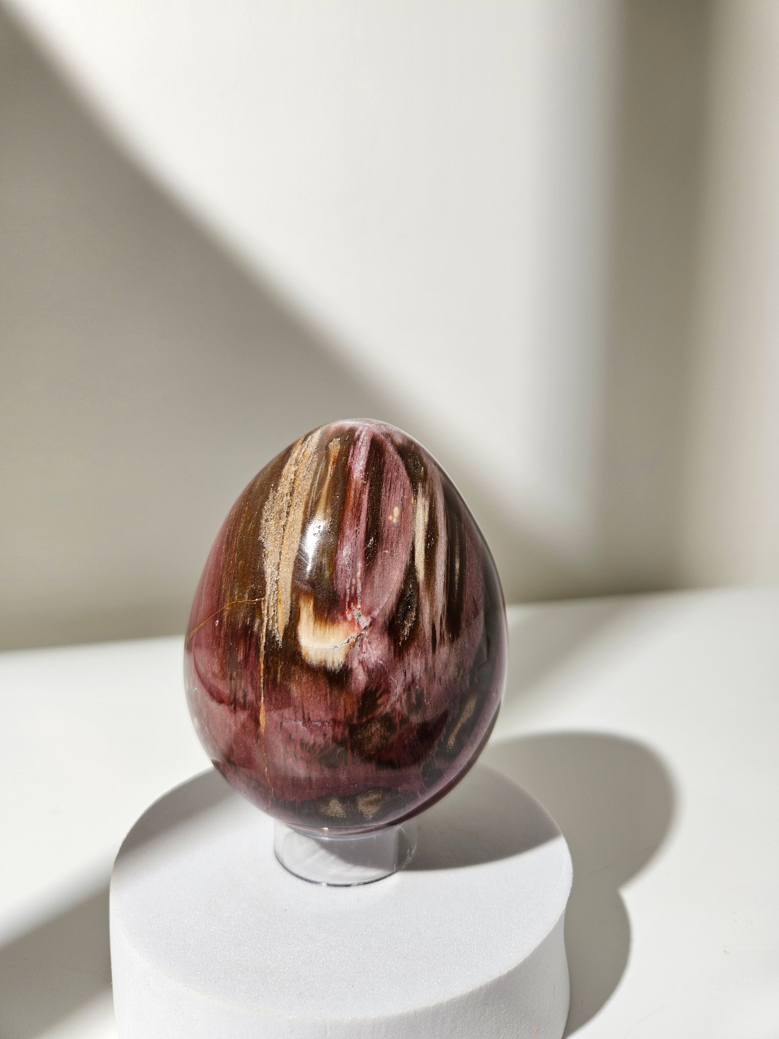 Petrified Wood Egg 003