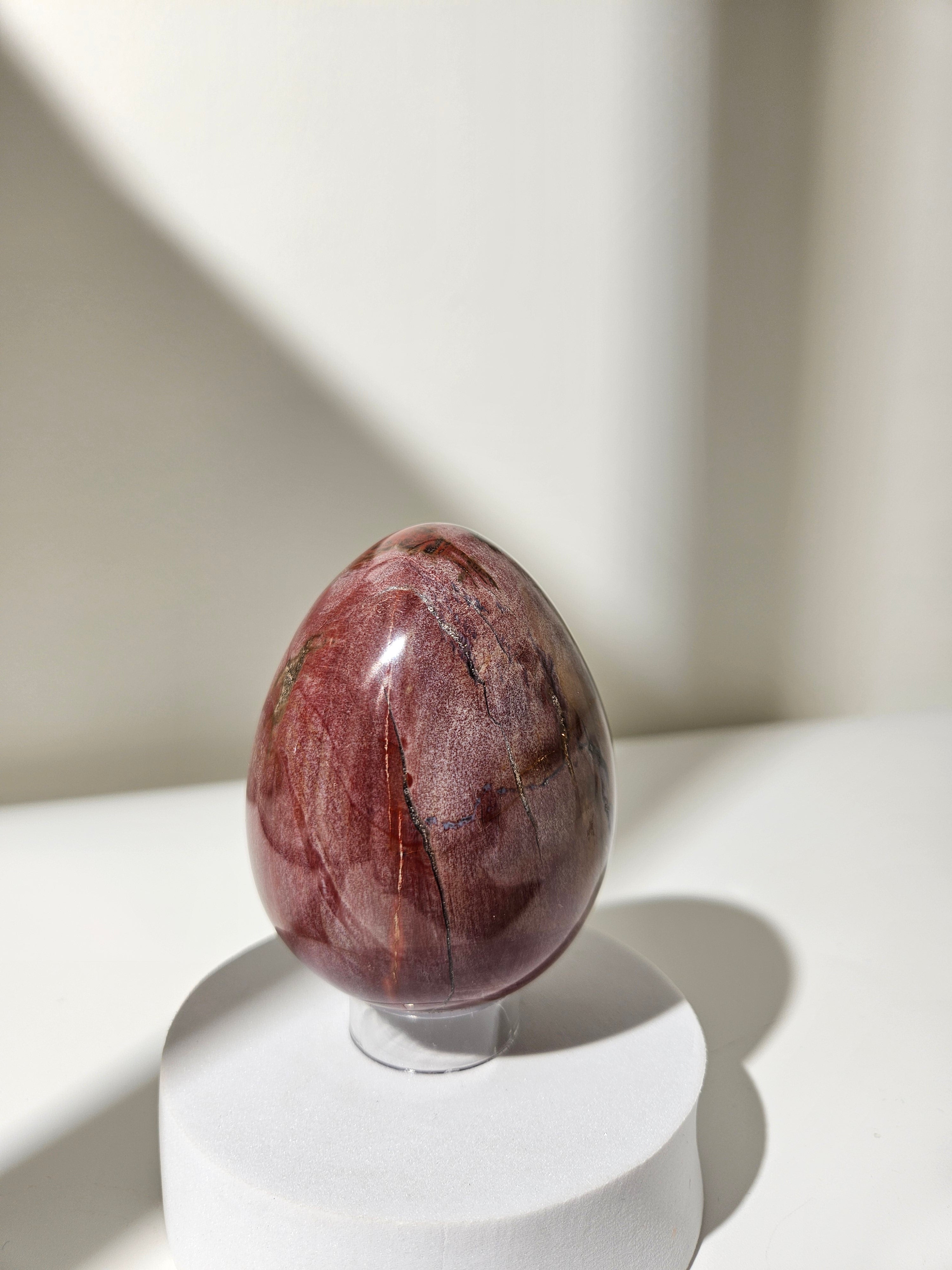 Petrified Wood Egg 004