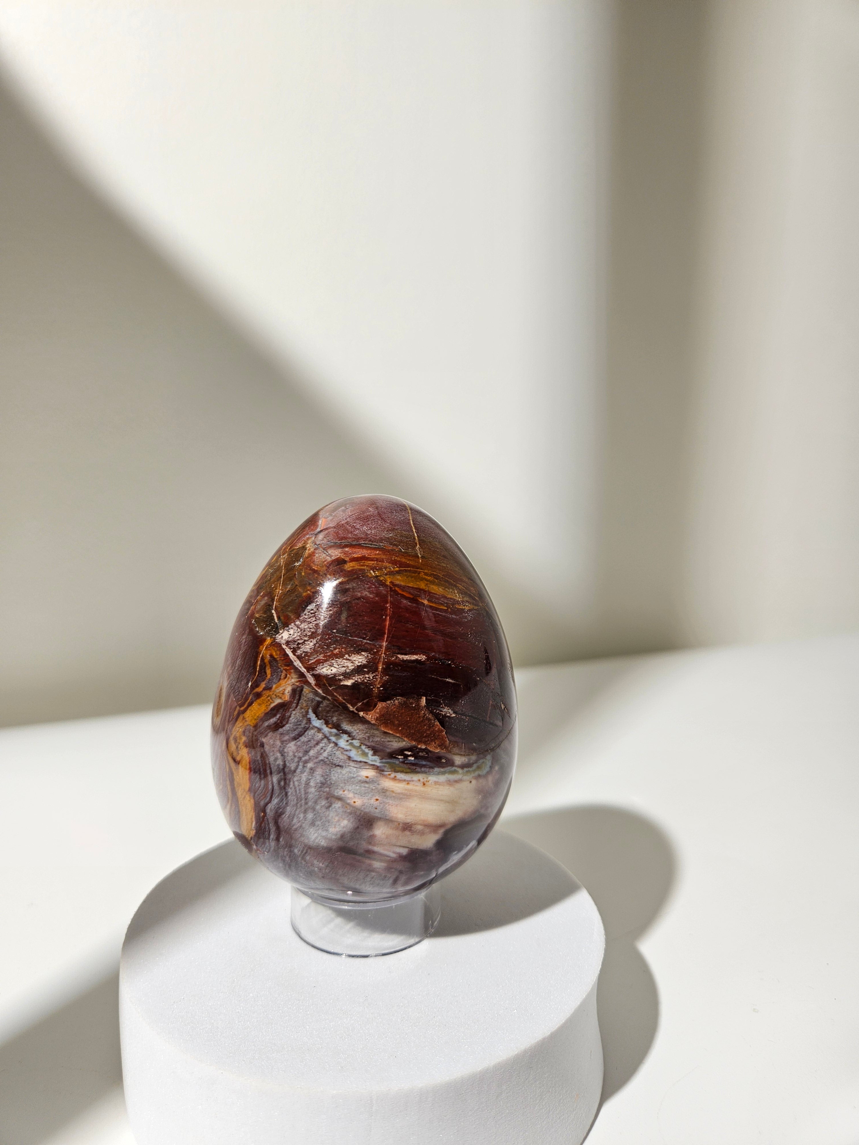 Petrified Wood Egg 005