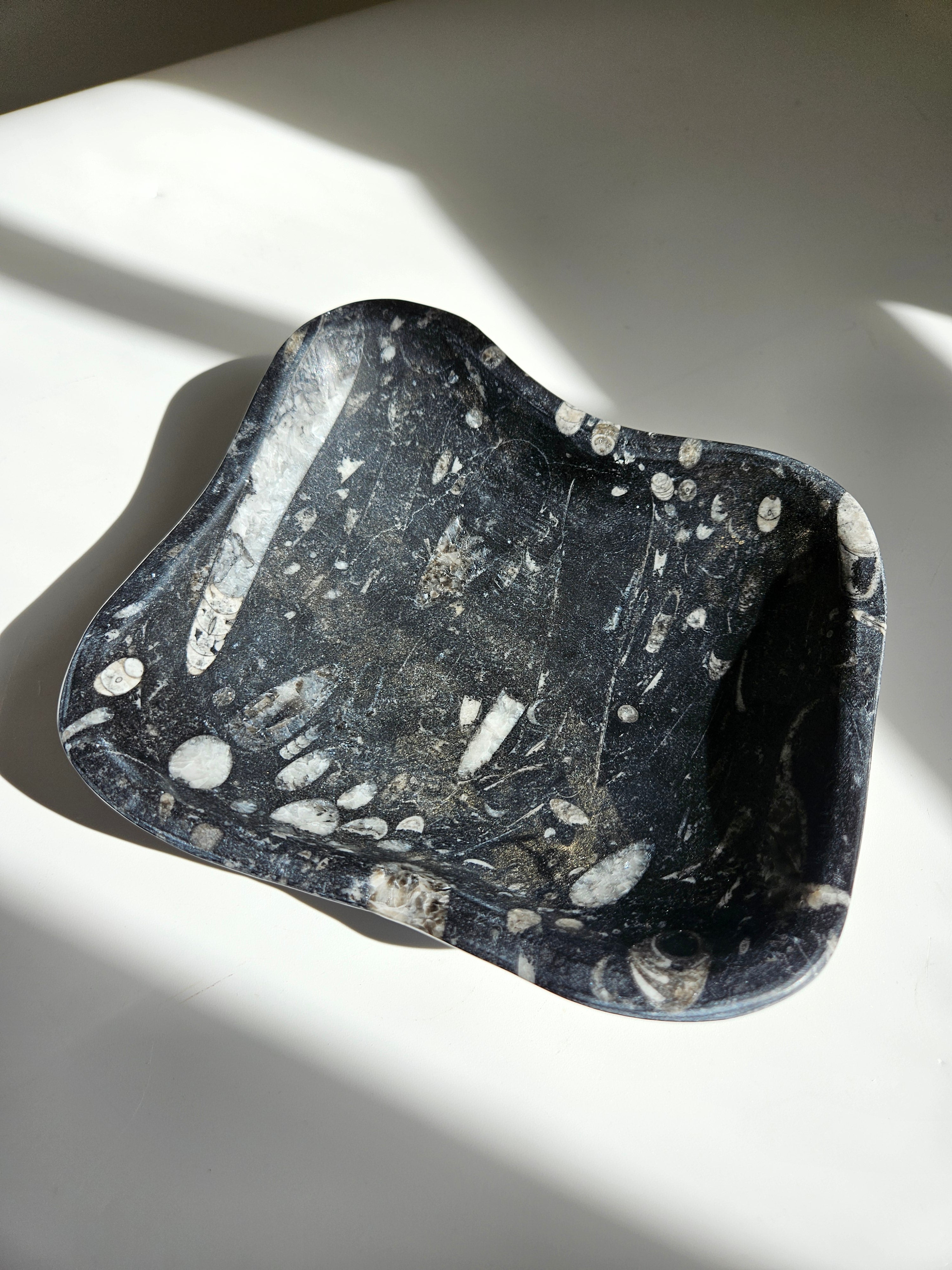 Orthoceras Fossil Bowl 001