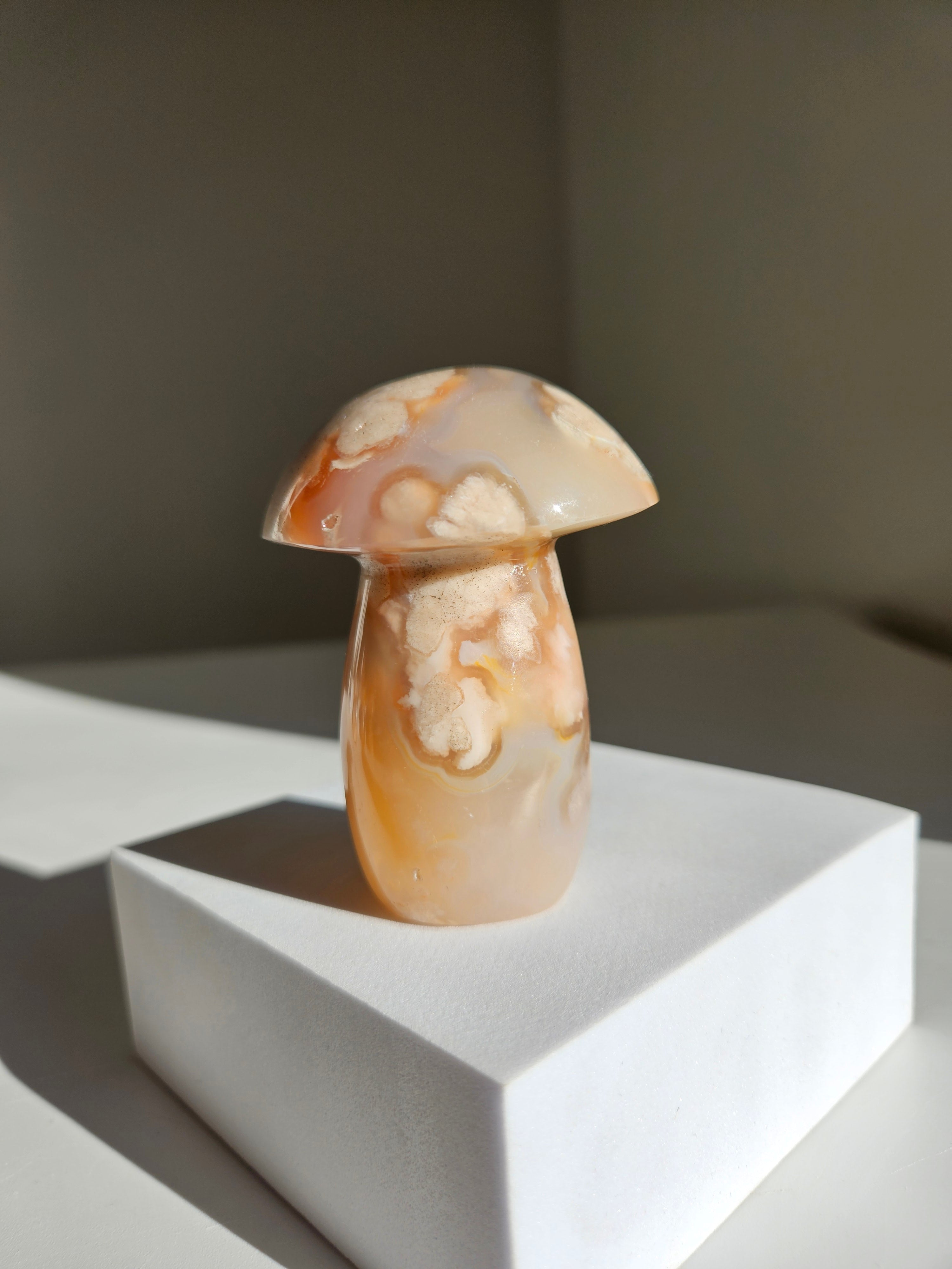 Flower Agate Mushroom 002