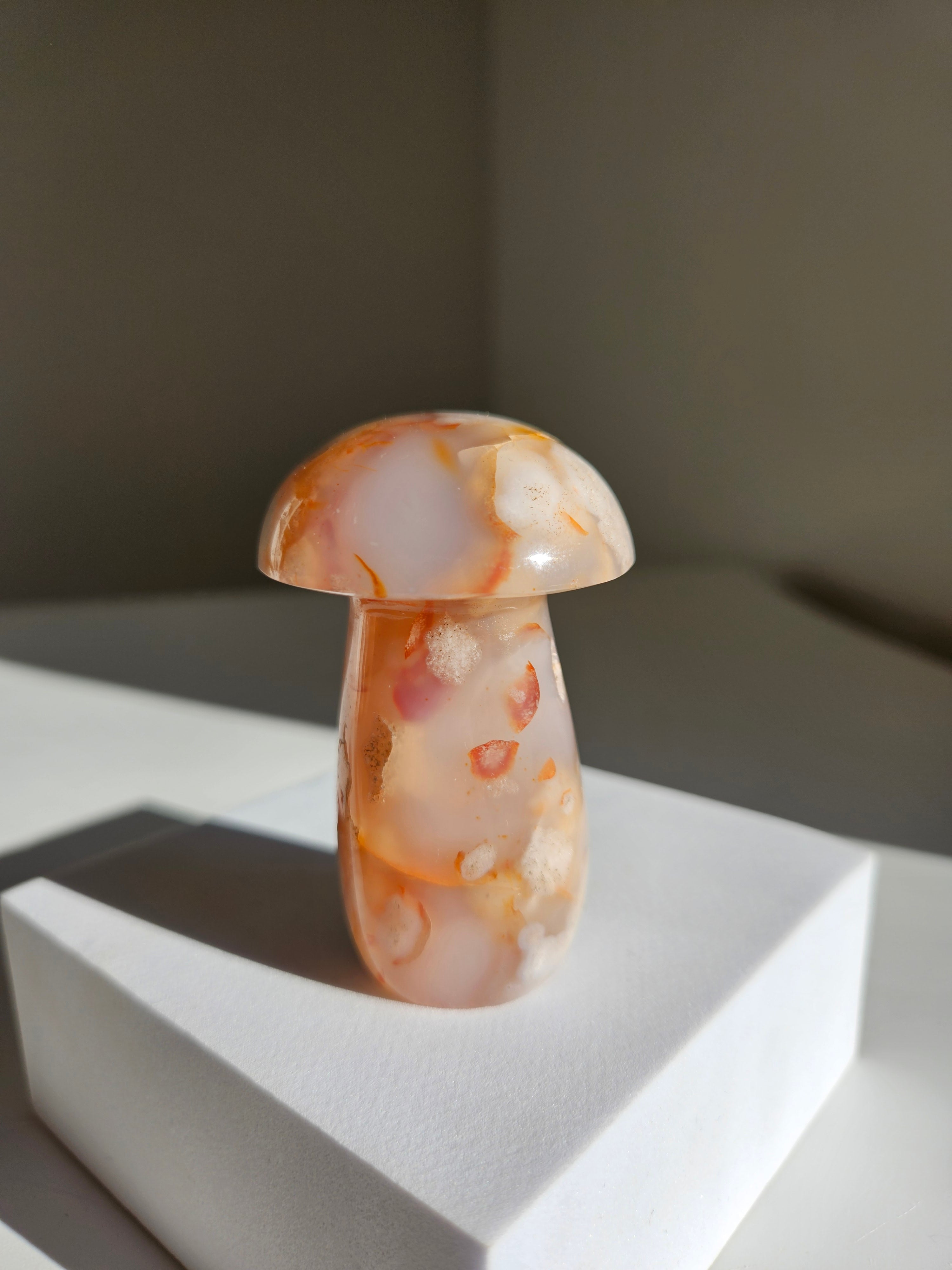 Flower Agate Mushroom 003