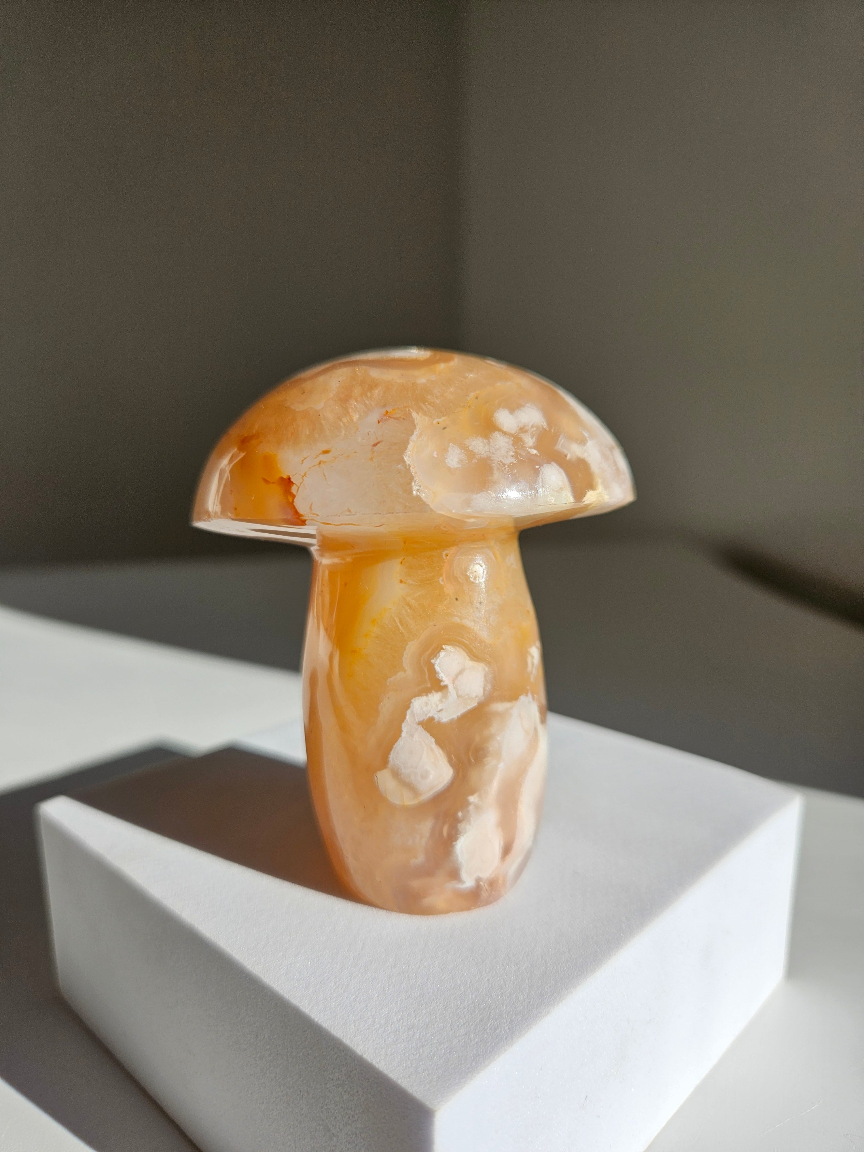 Flower Agate Mushroom 008