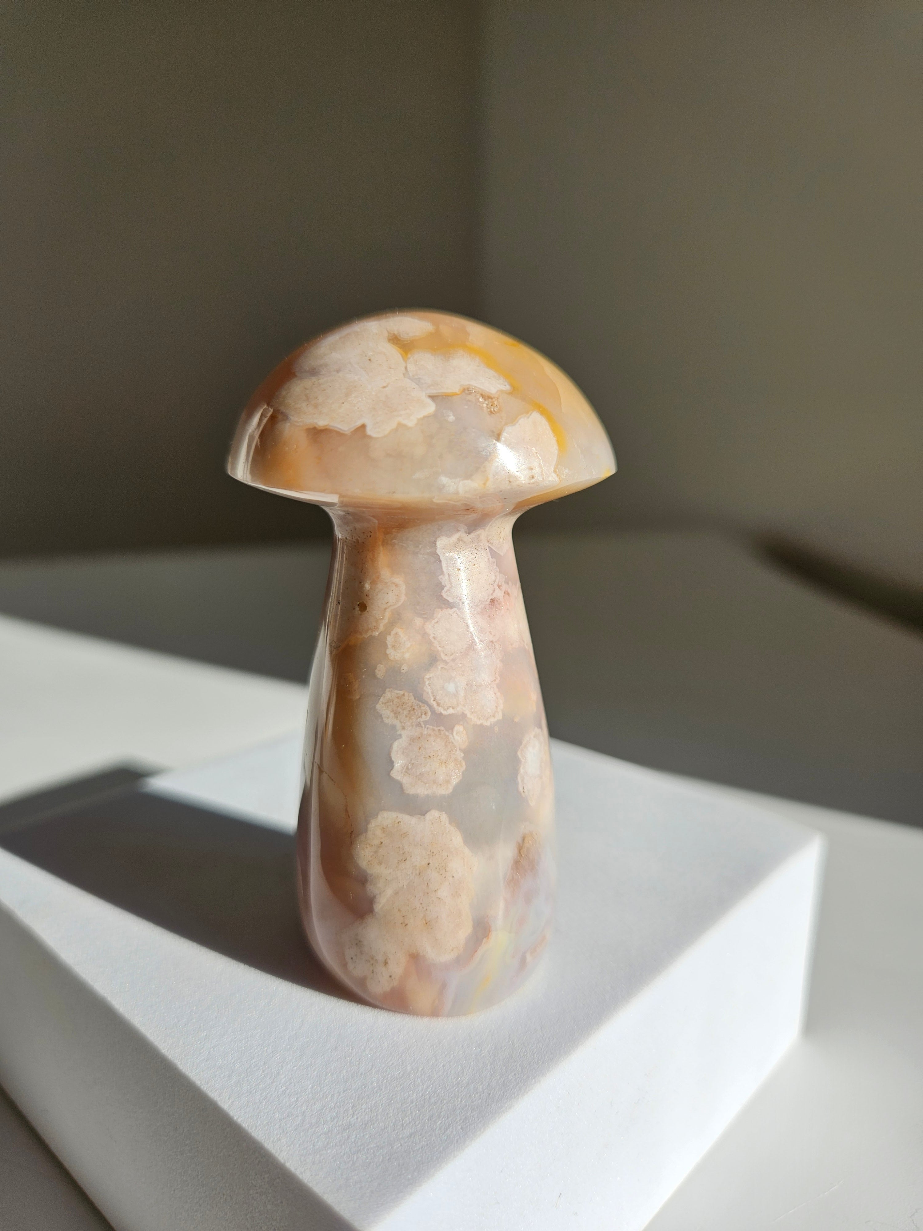 Flower Agate Mushroom 010