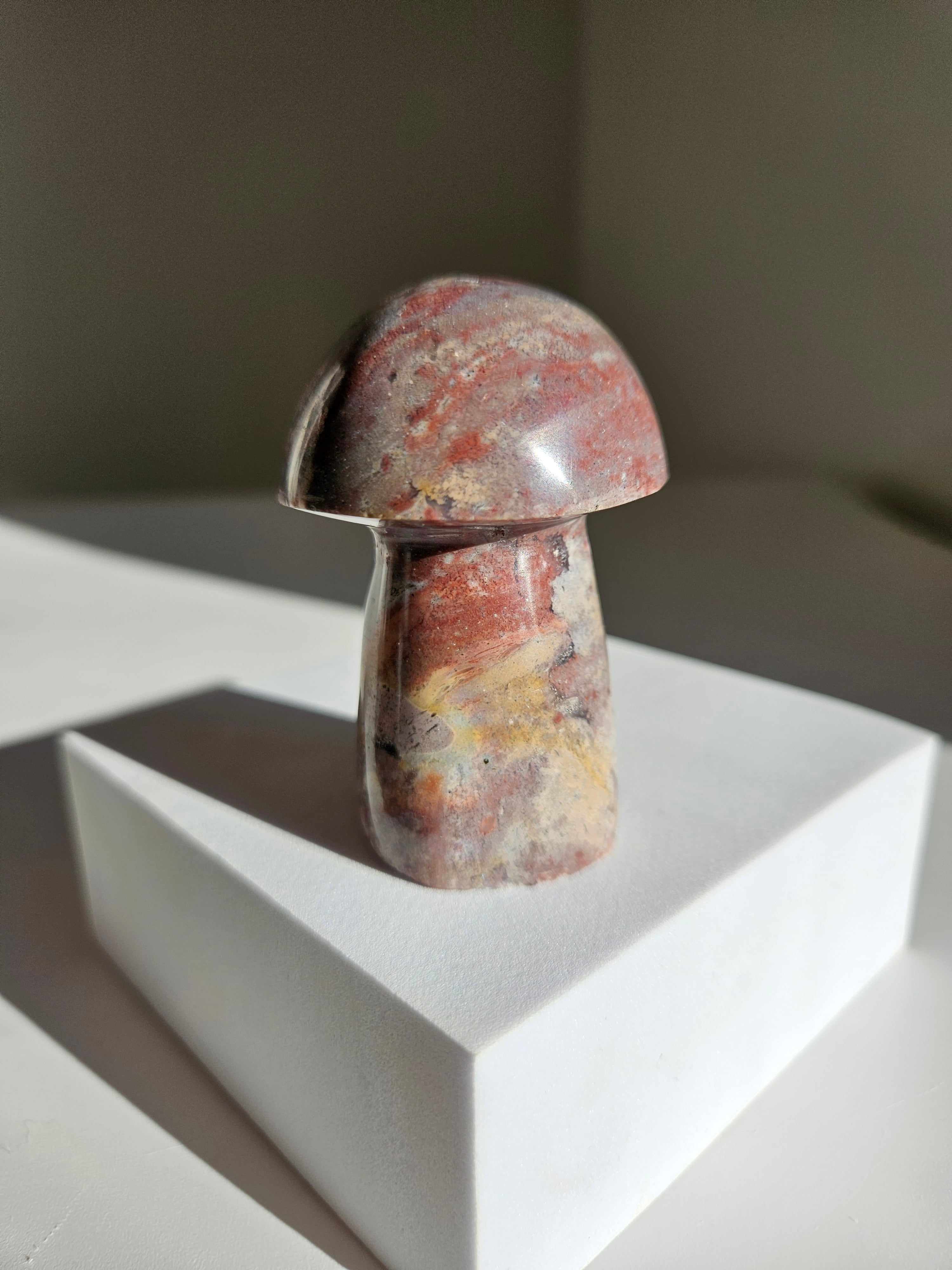 Sea jasper mushroom 001