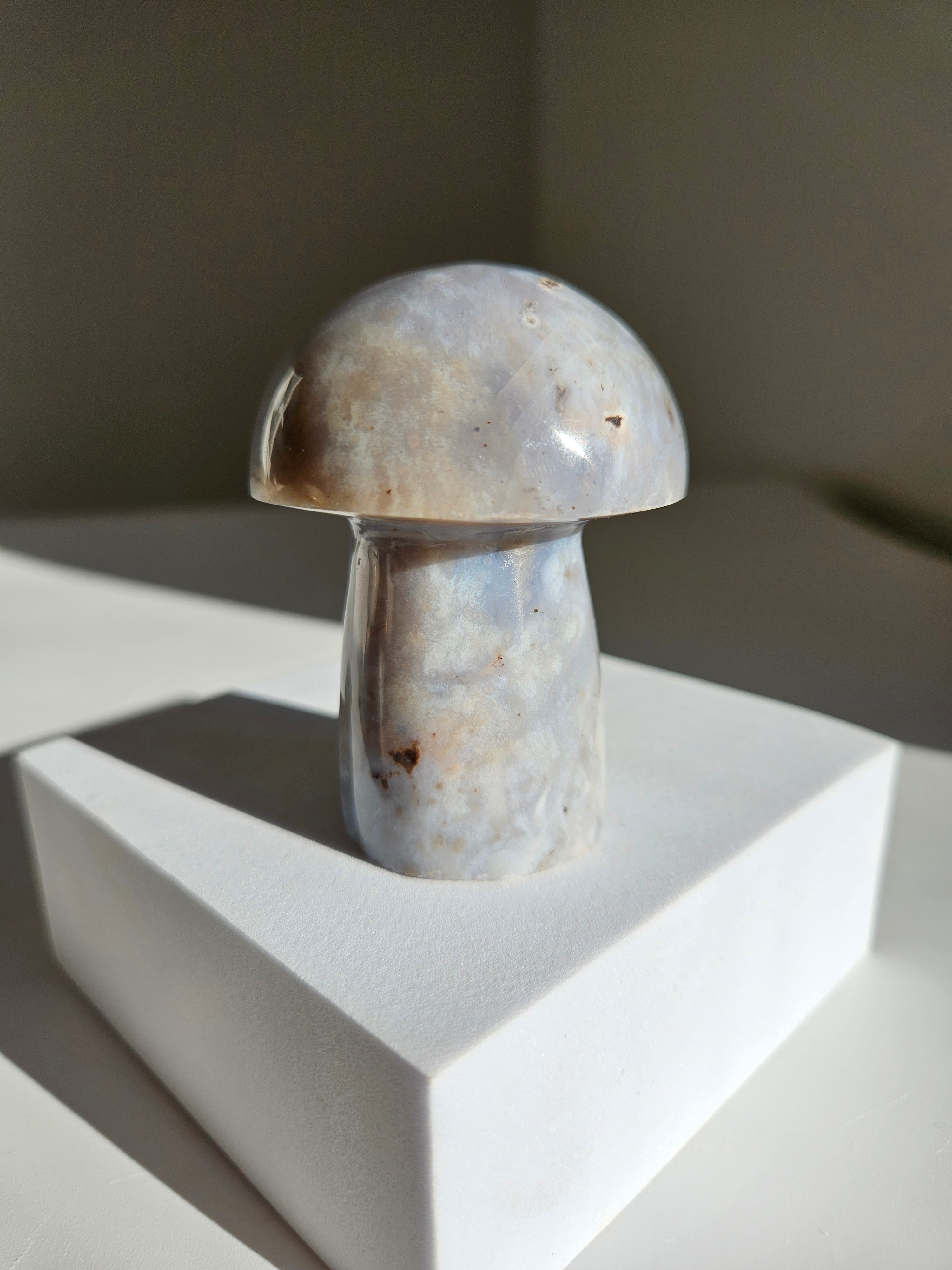 Sea jasper mushroom 002