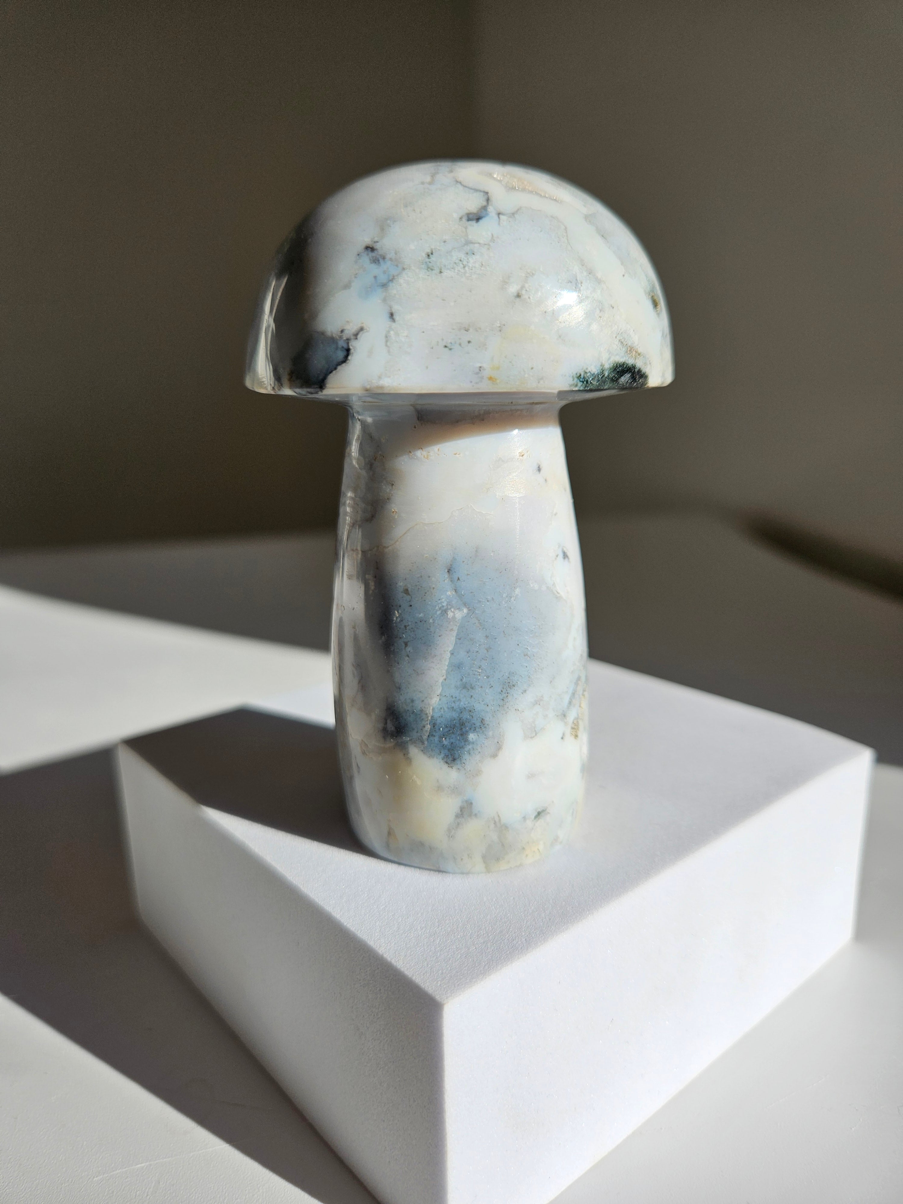 Sea jasper mushroom 009