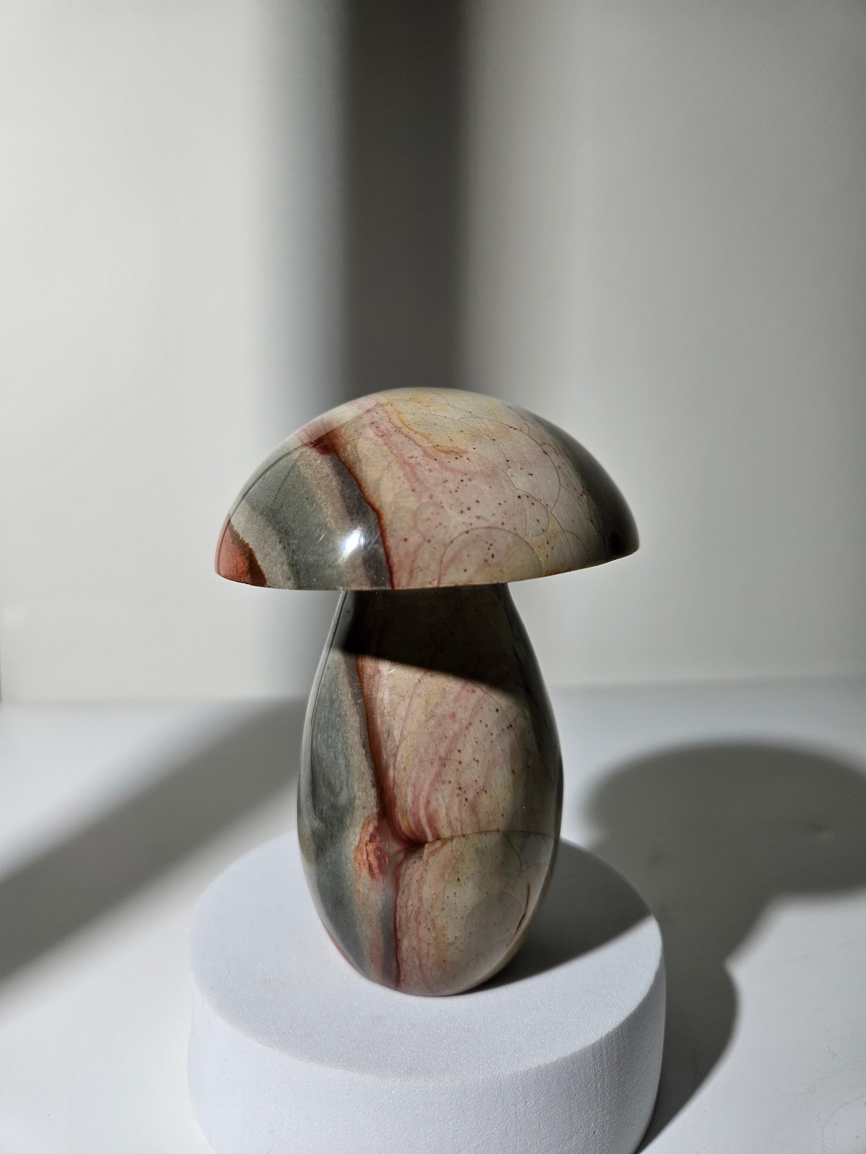 Polychrome Jasper Mushroom 002