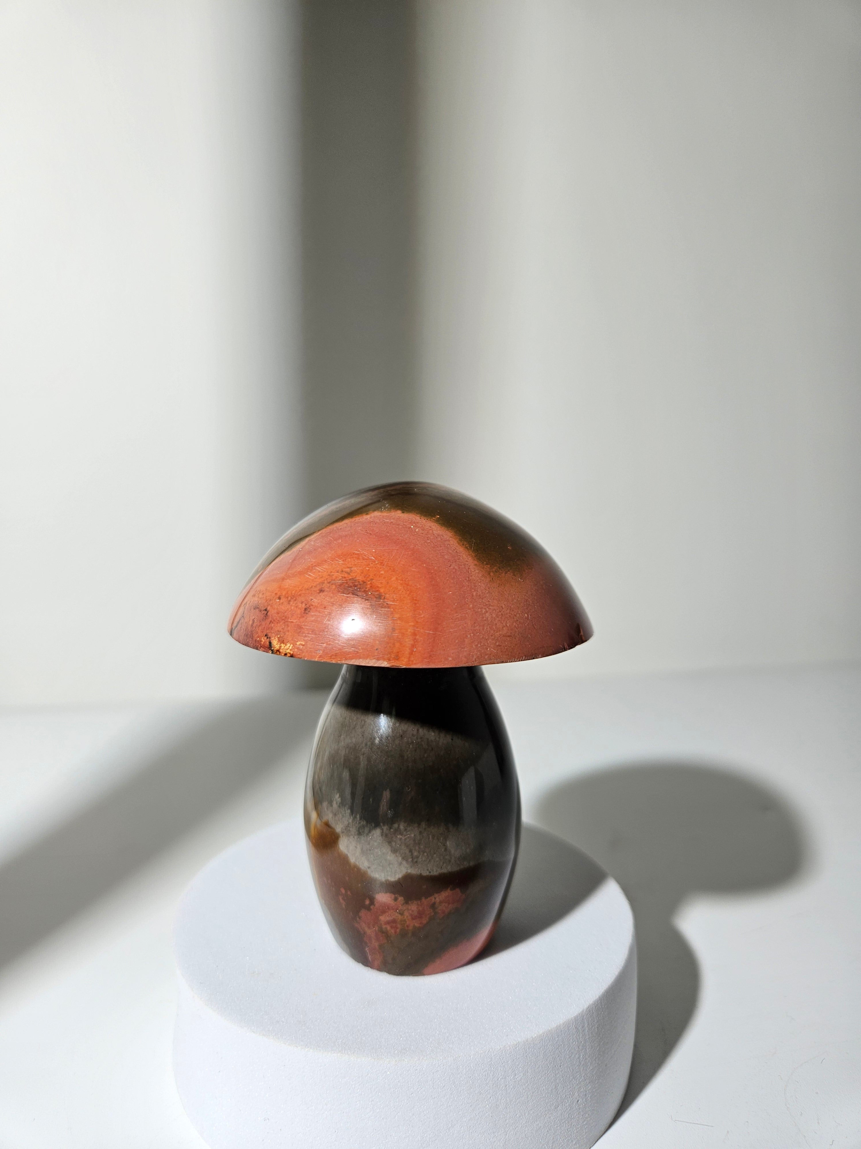 Polychrome Jasper Mushroom 003