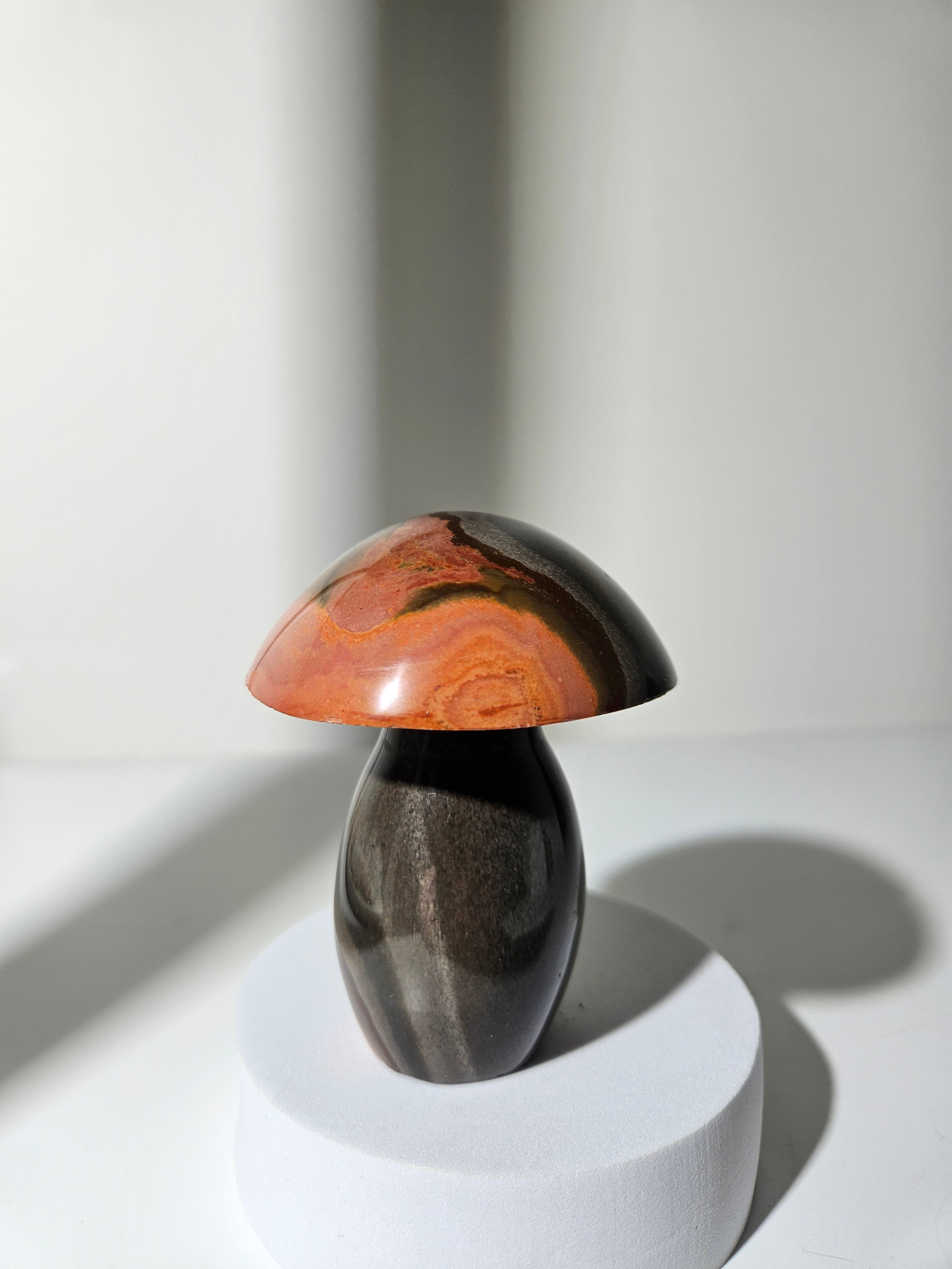 Polychrome Jasper Mushroom 003