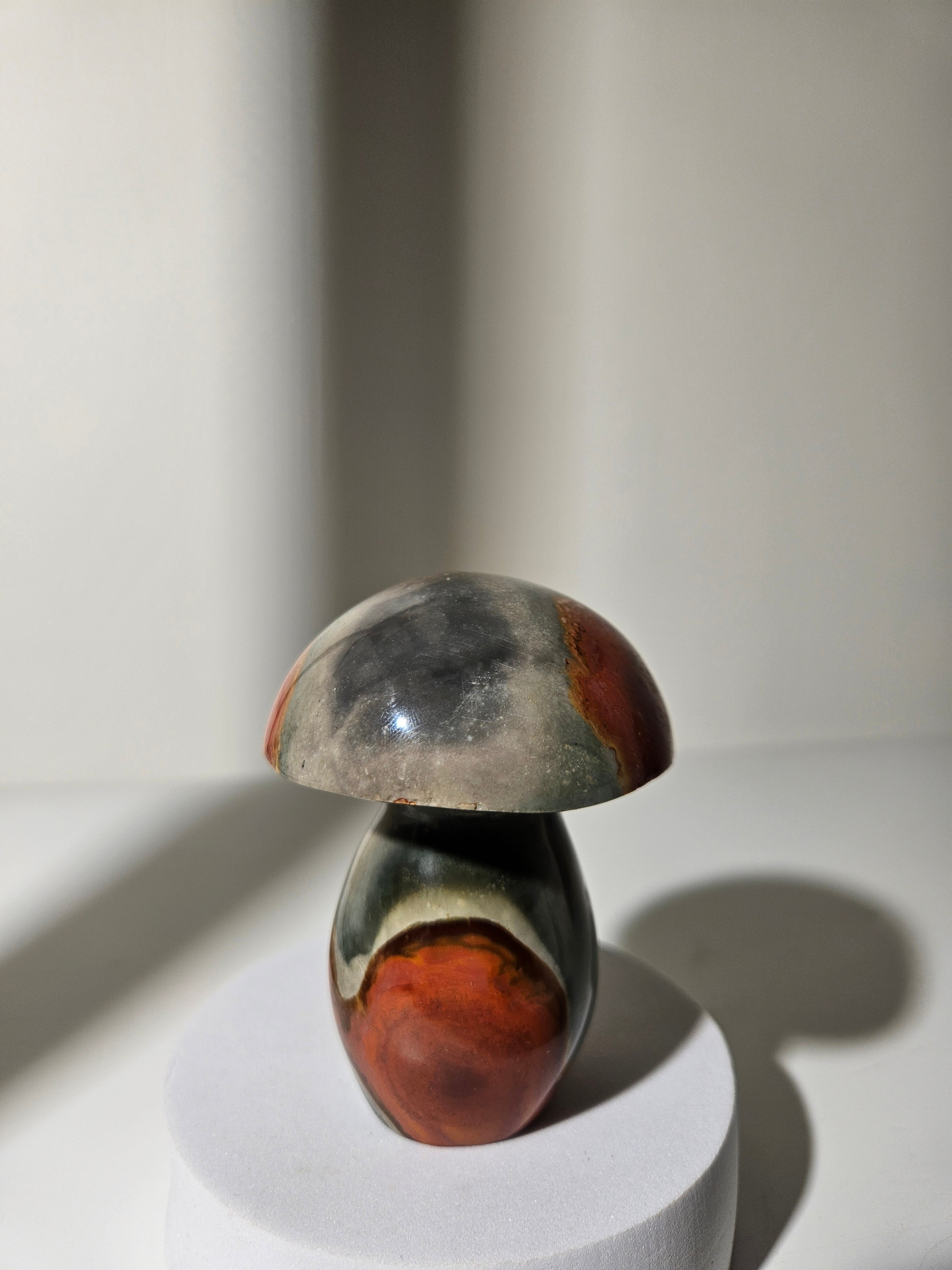 Polychrome Jasper Mushroom 004