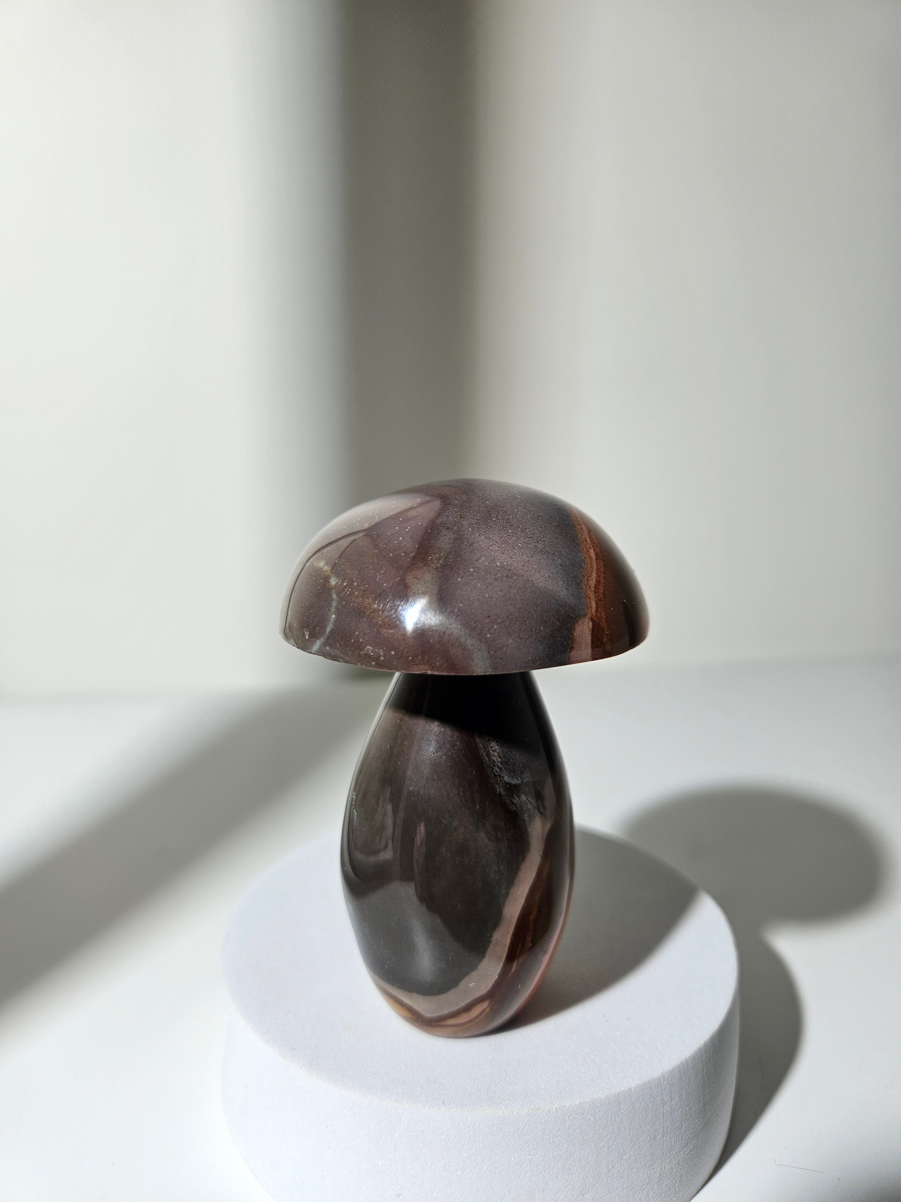 Polychrome Jasper Mushroom 005