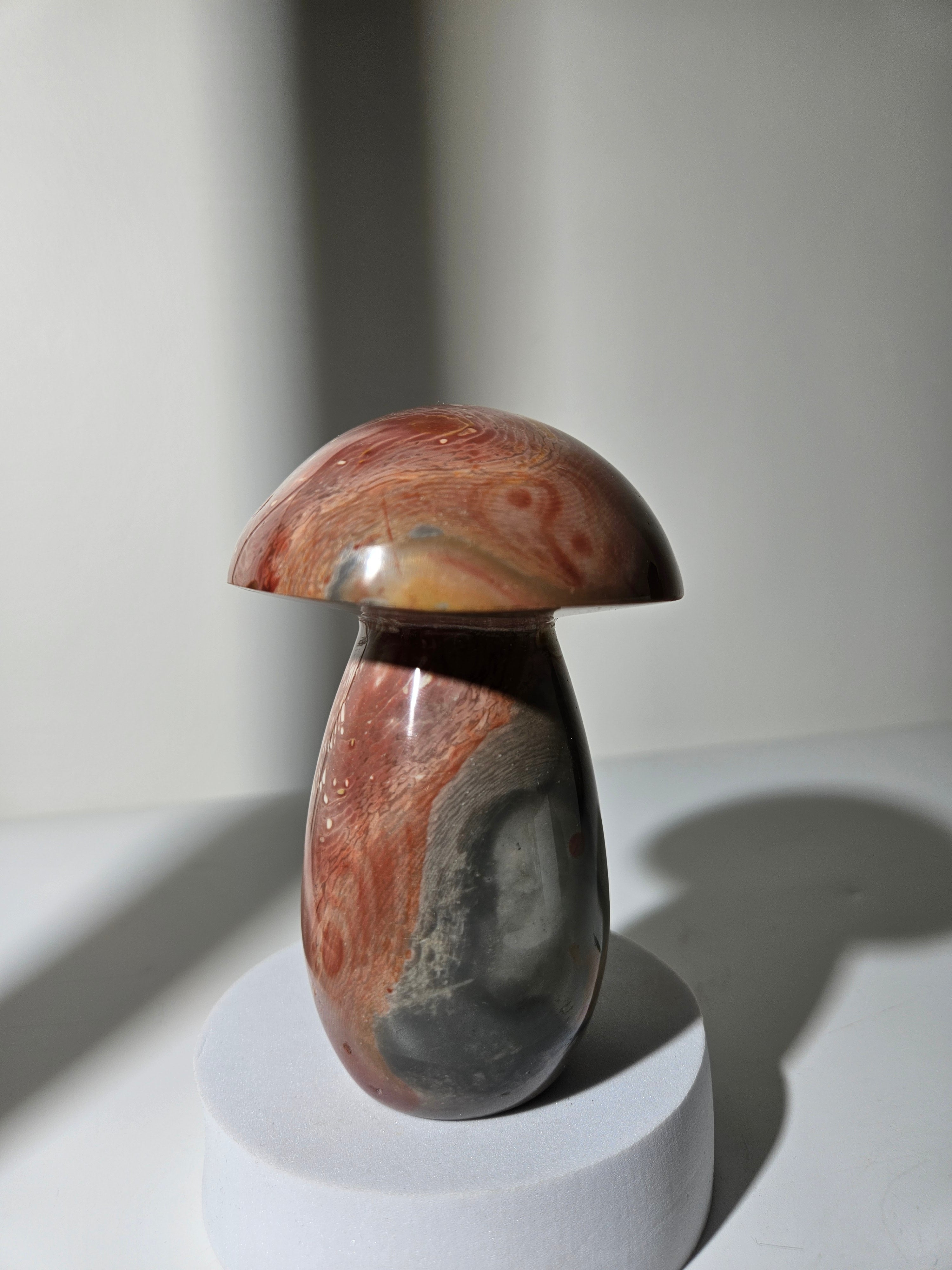 Polychrome Jasper Mushroom 007