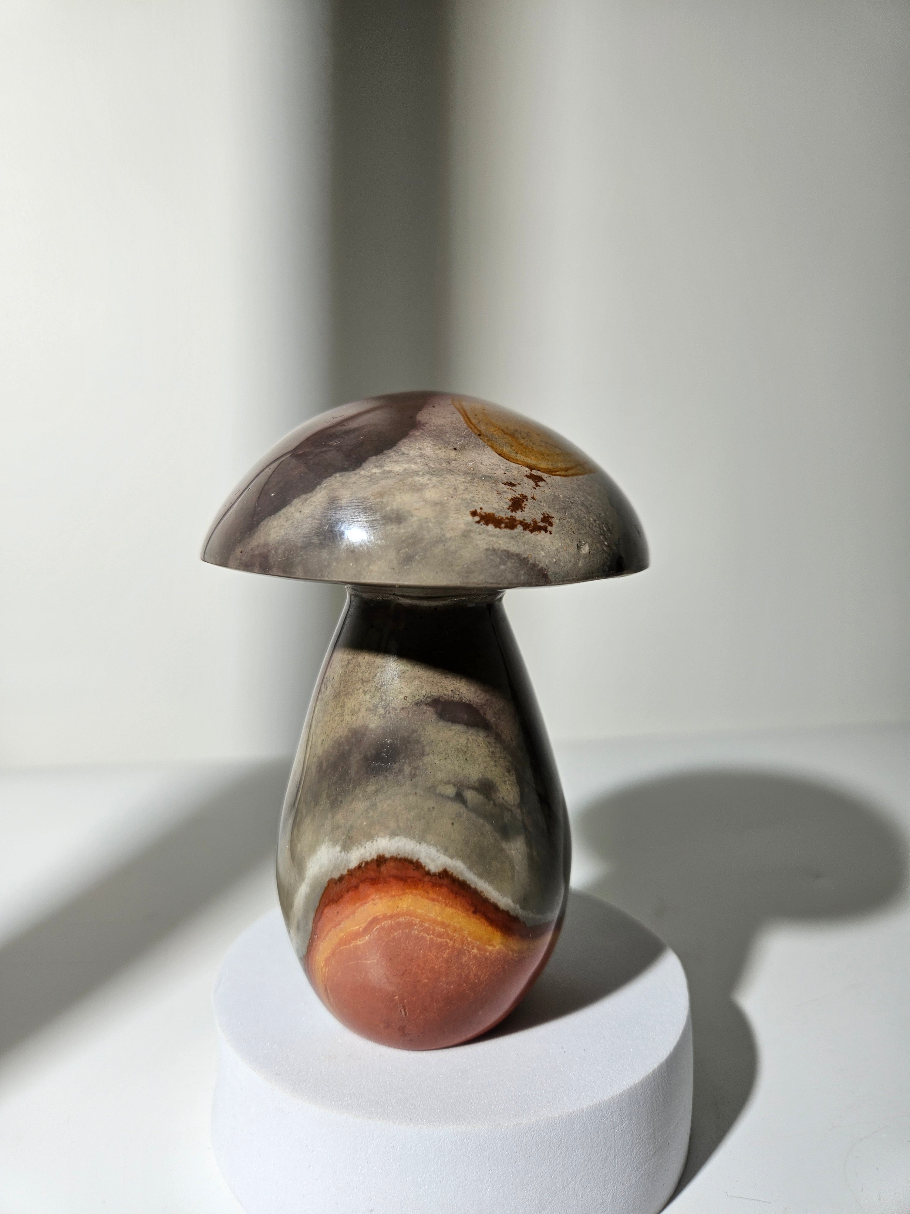 Polychrome Jasper Mushroom 008