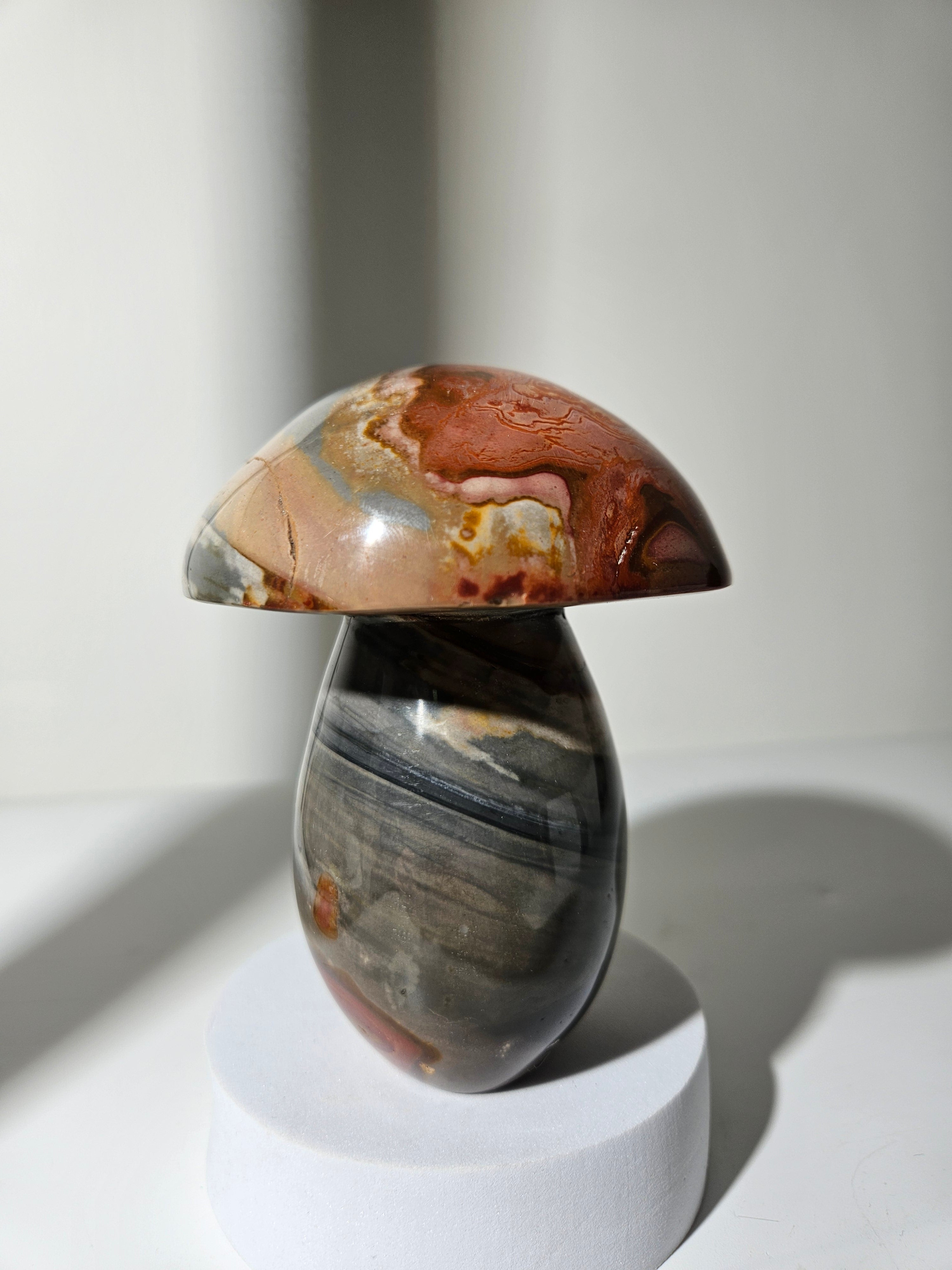 Polychrome Jasper Mushroom 009