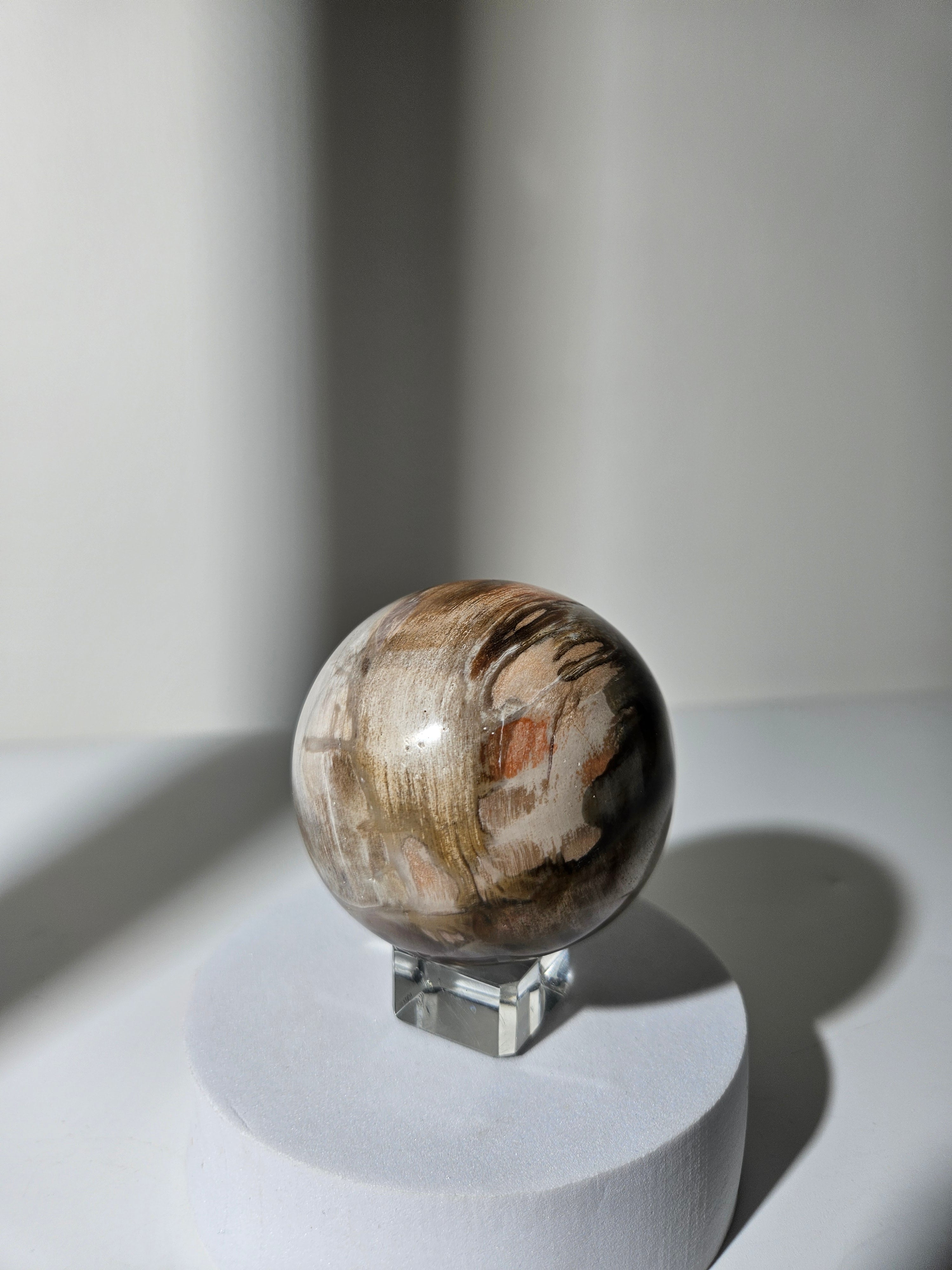 Petrified Wood Sphere 001