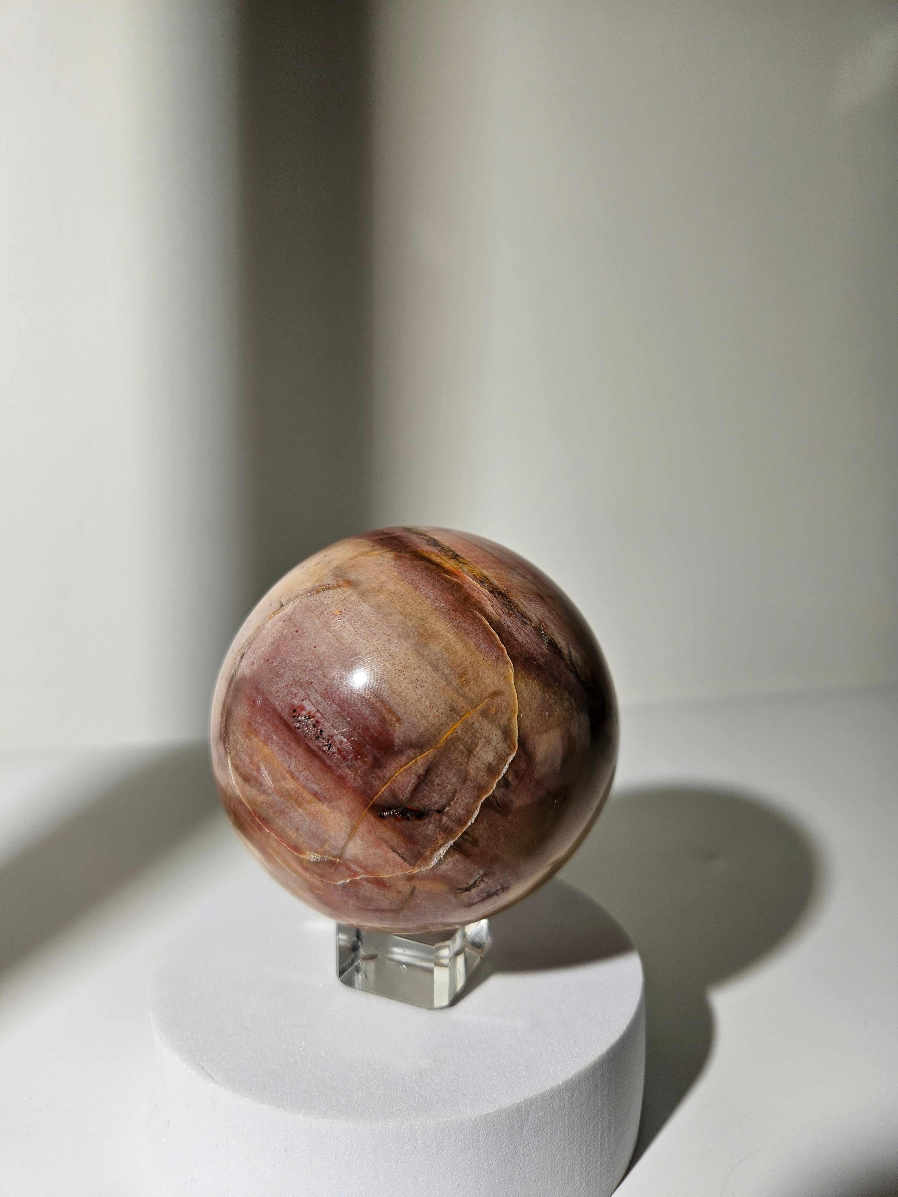 Petrified Wood Sphere 002