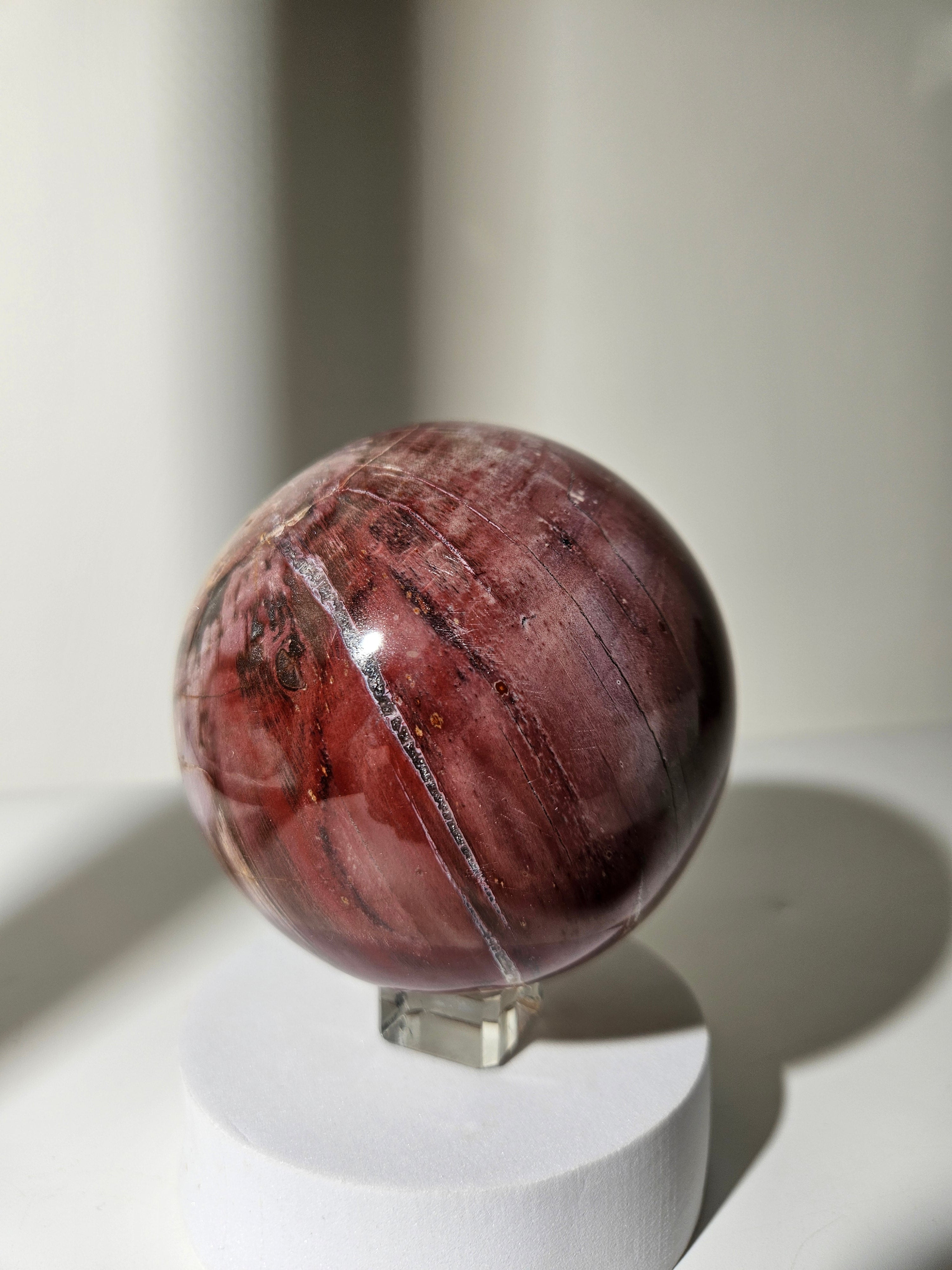 Petrified Wood Sphere 003