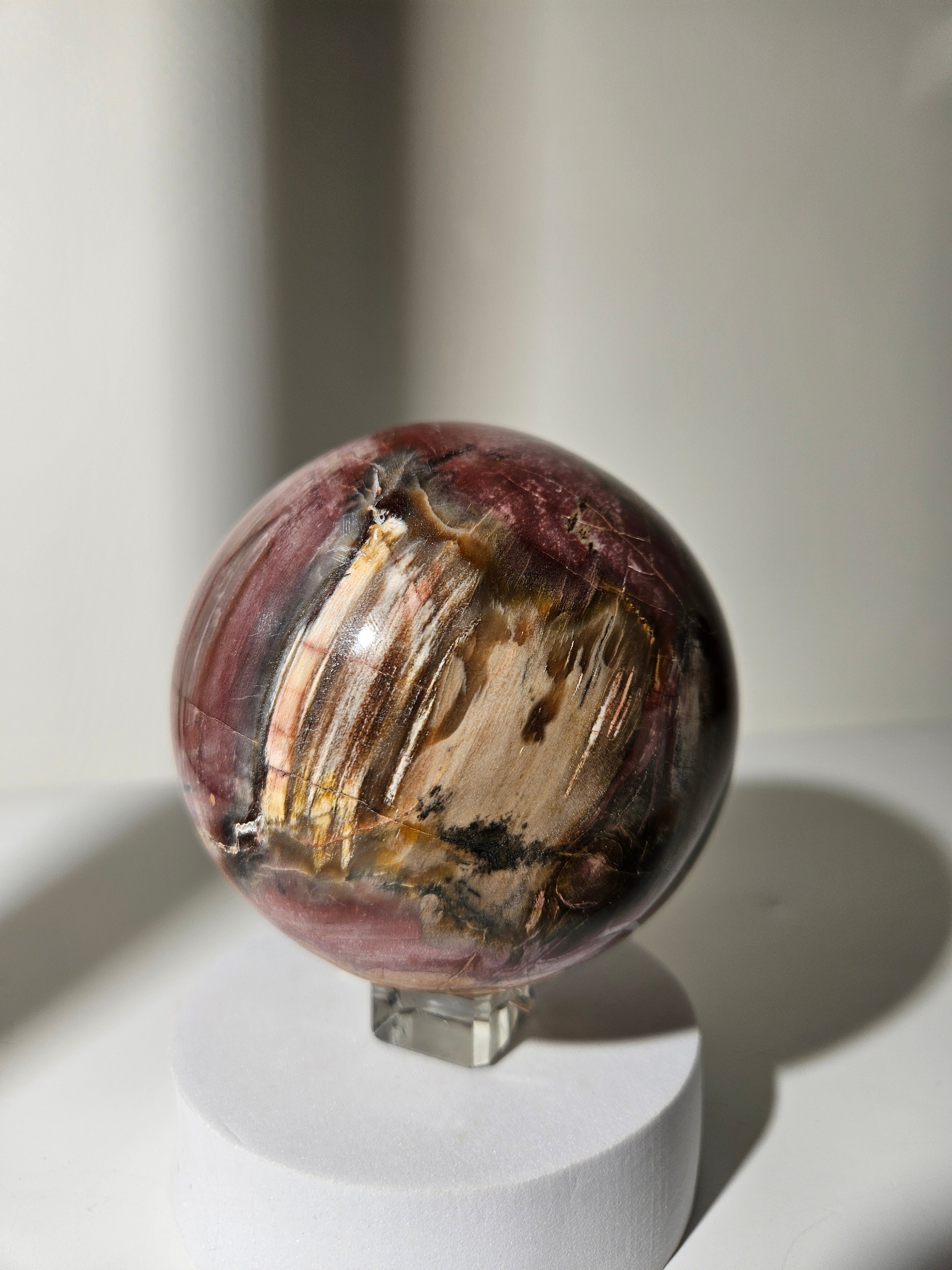 Petrified Wood Sphere 003