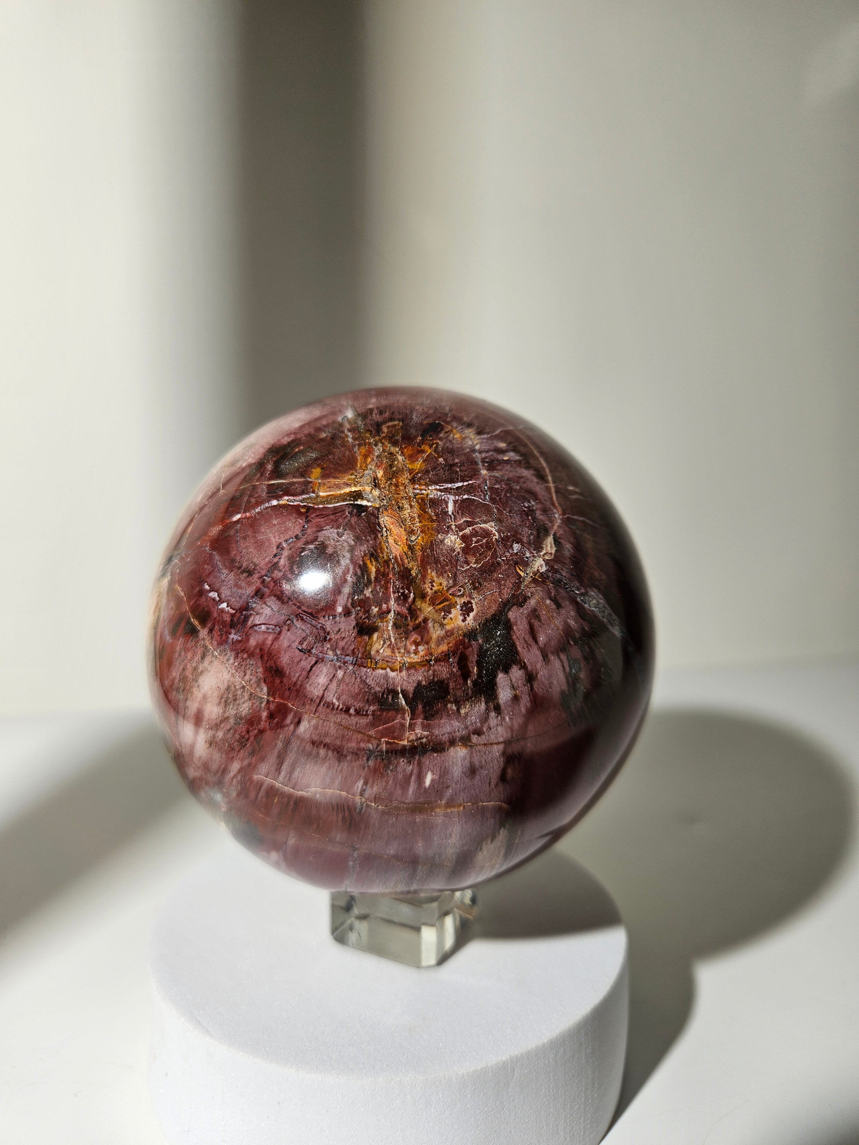 Petrified Wood Sphere 003