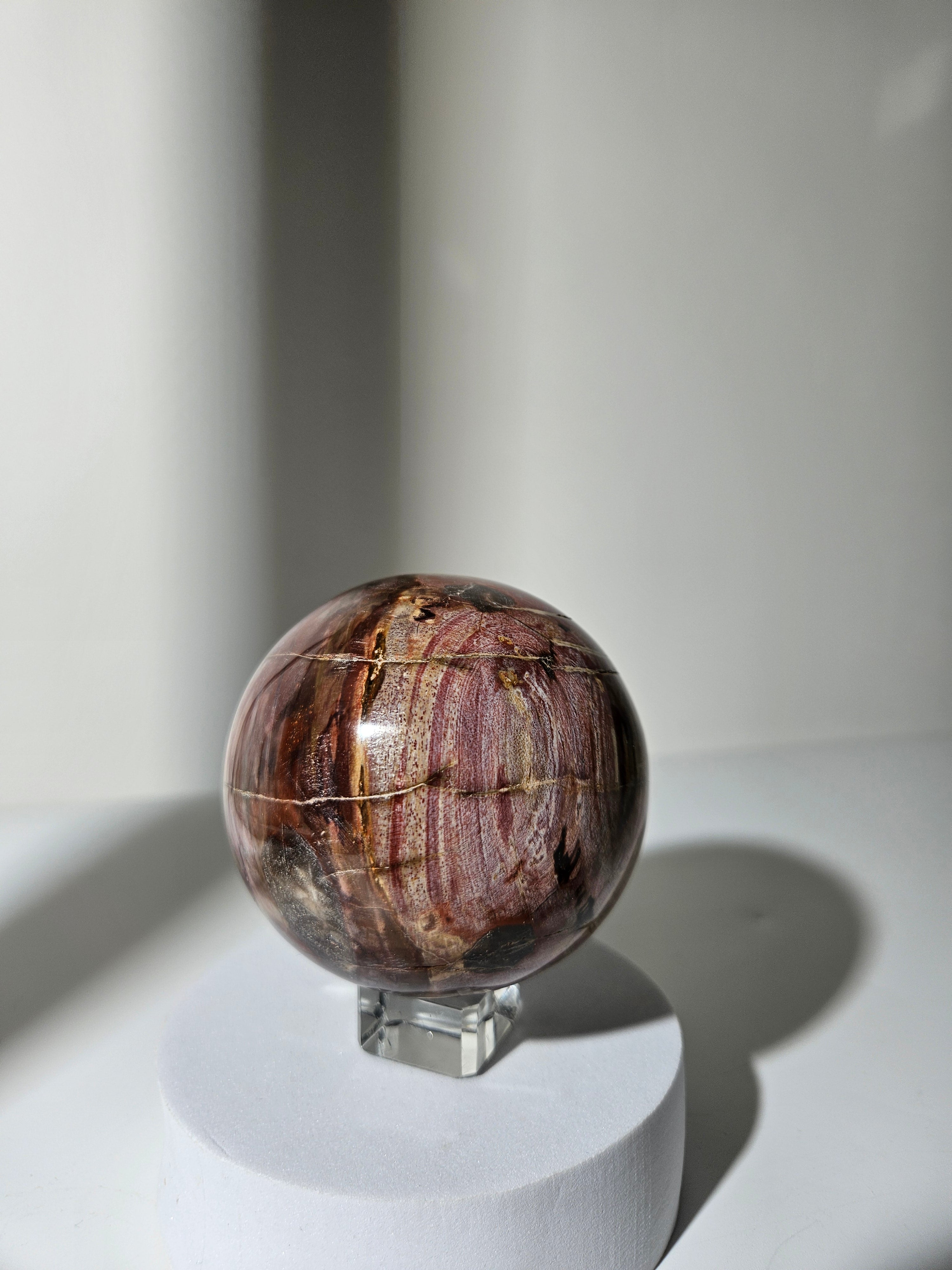 Petrified Wood Sphere 004