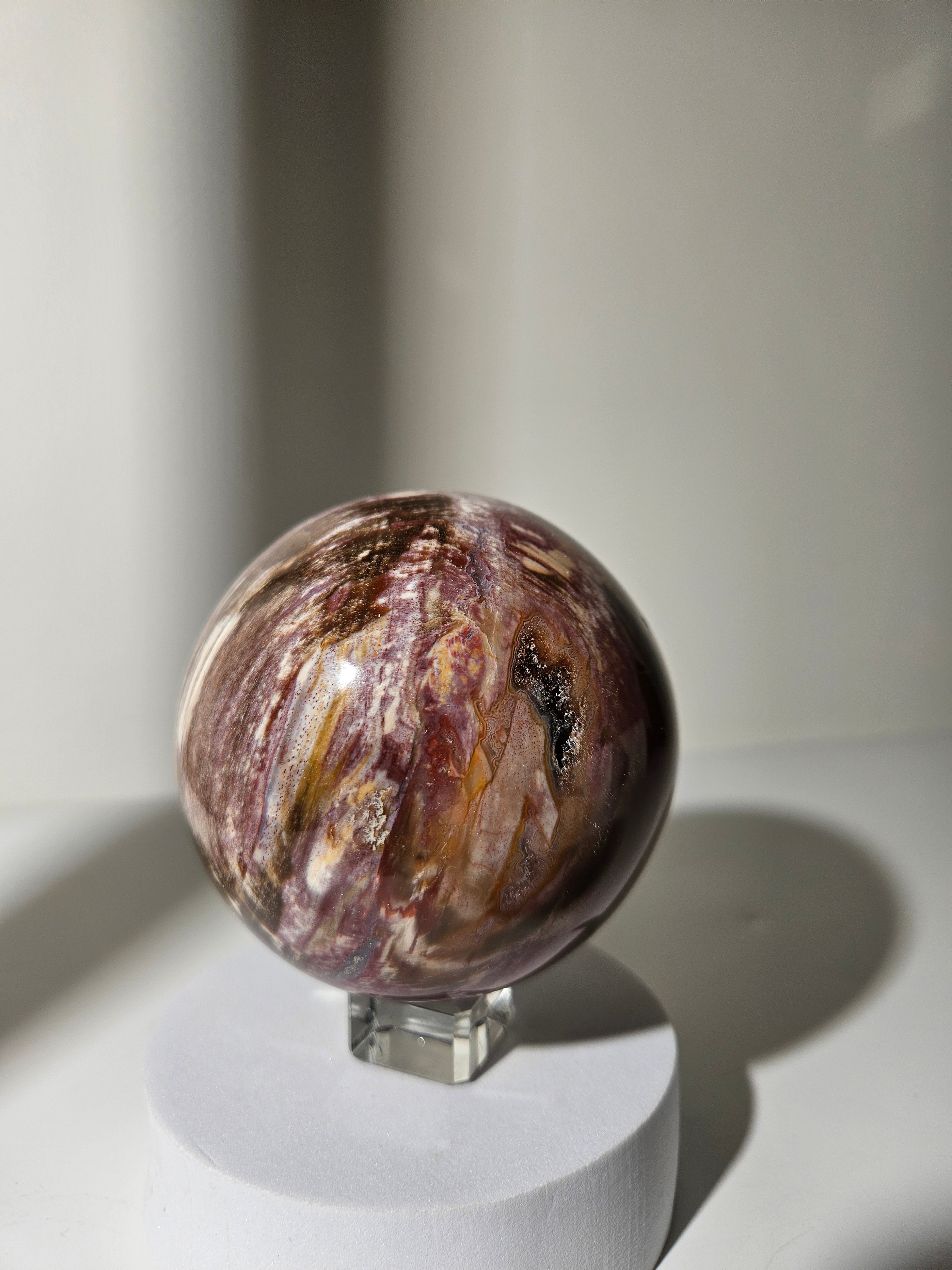 Petrified Wood Sphere 005