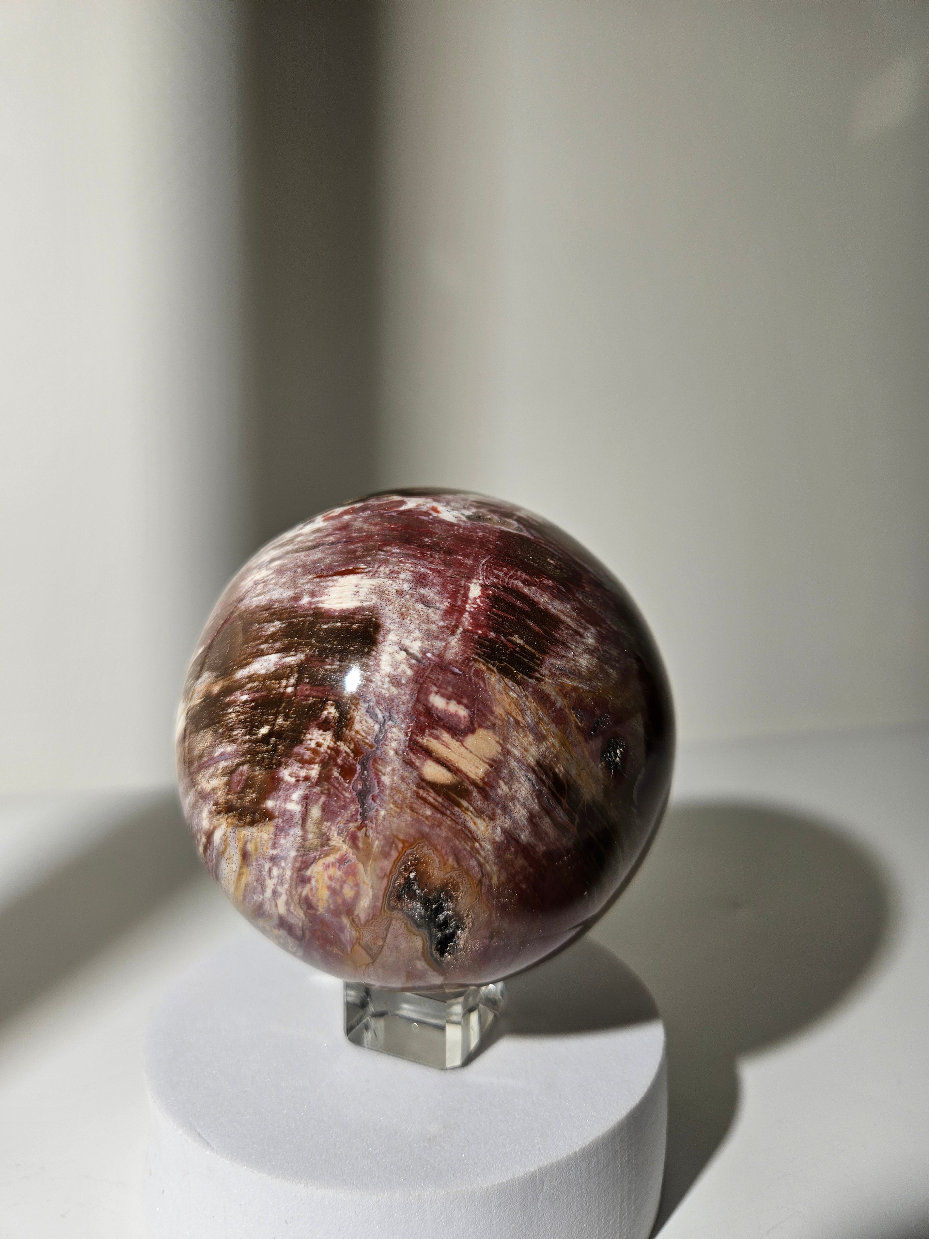 Petrified Wood Sphere 005