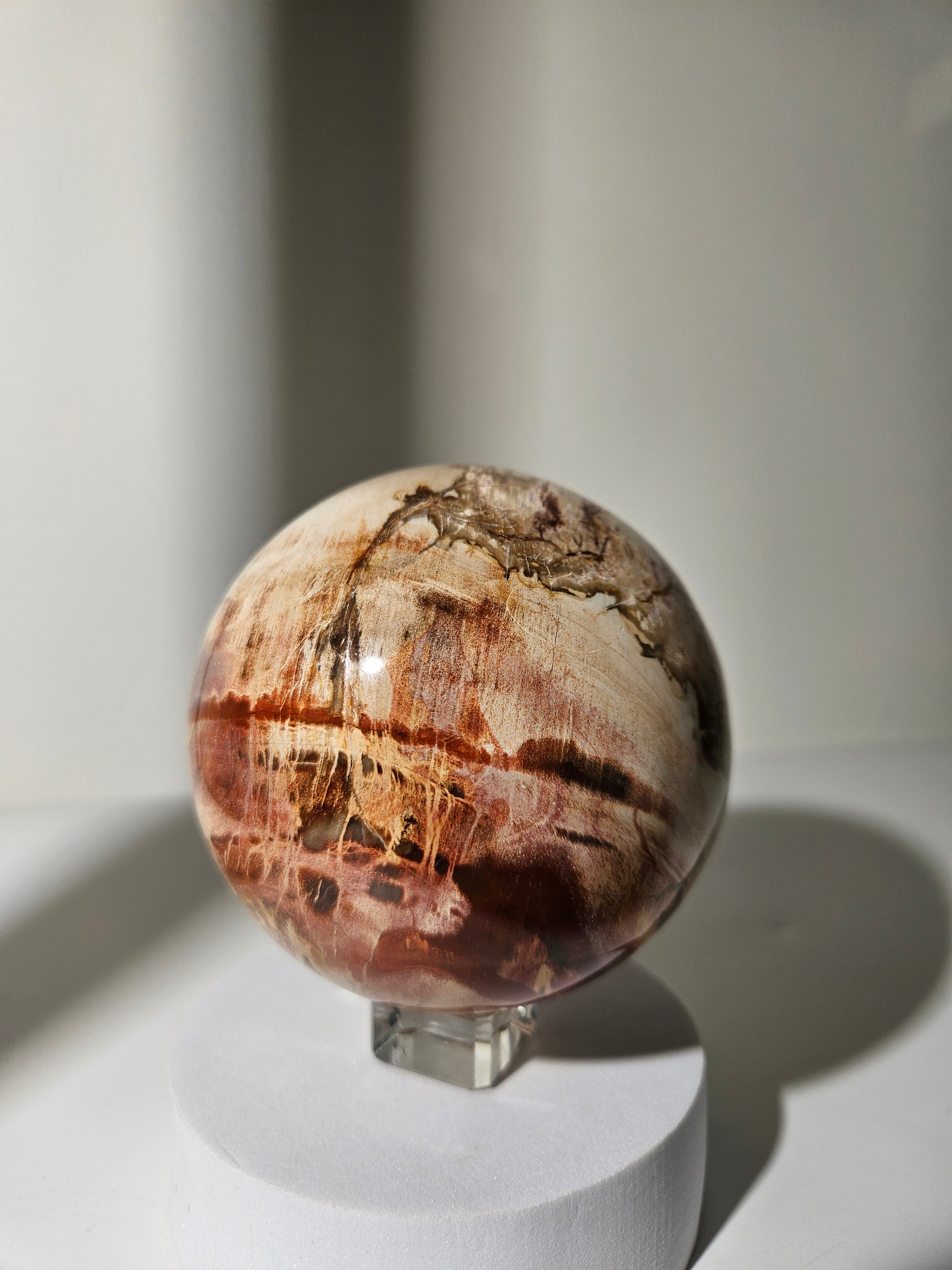 Petrified Wood Sphere 006