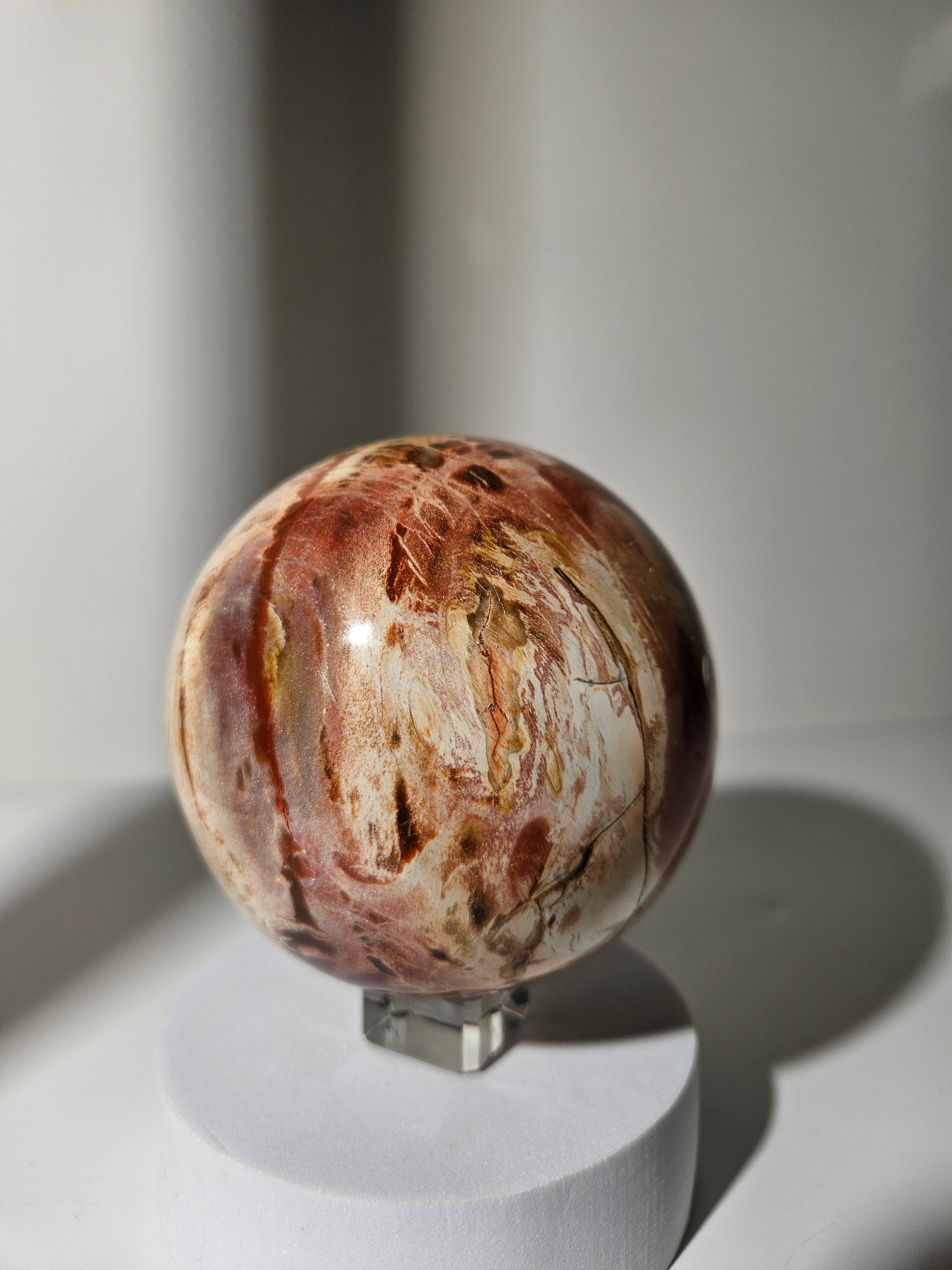 Petrified Wood Sphere 006