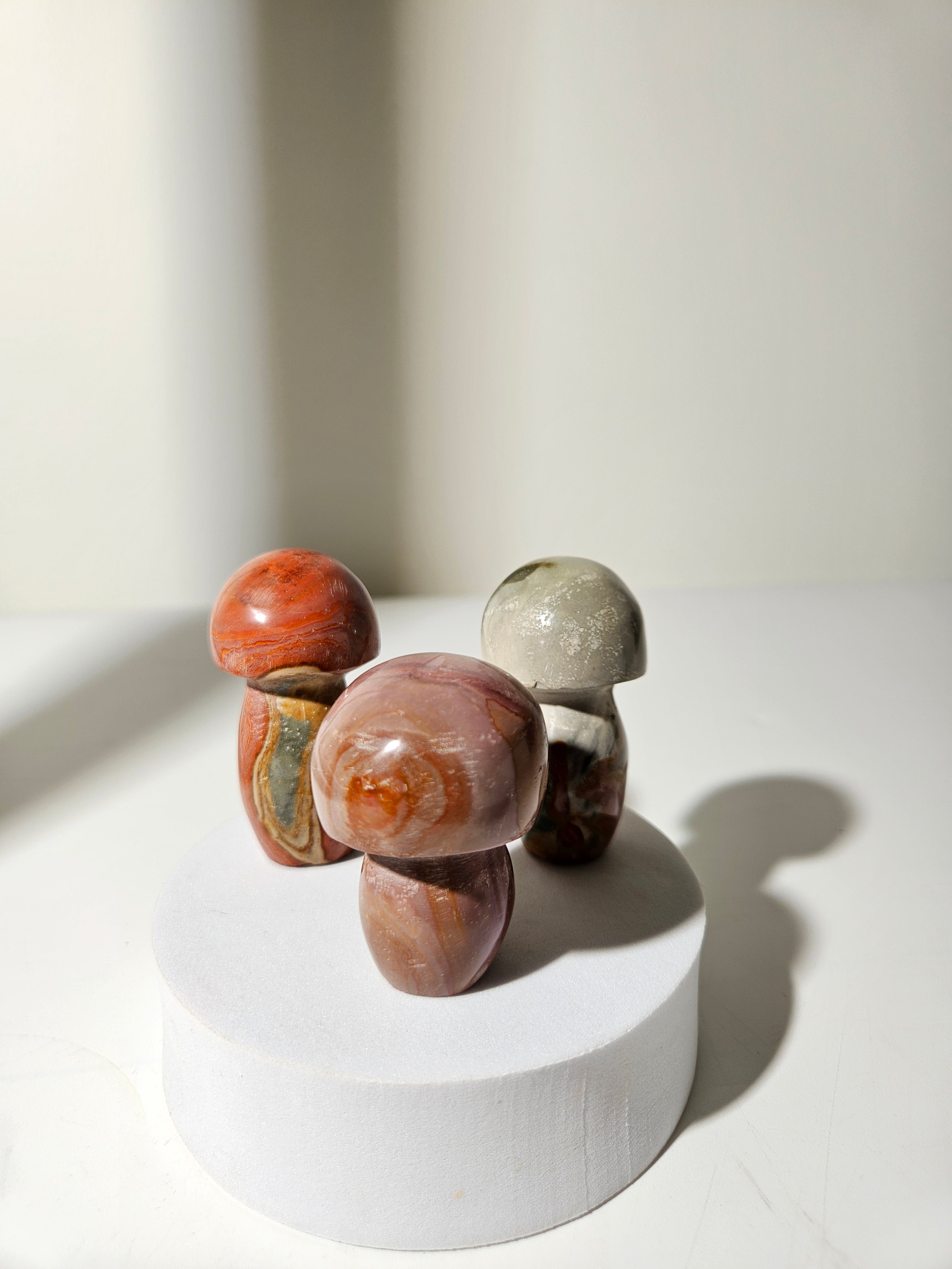 Polychrome Jasper Mushroom Set