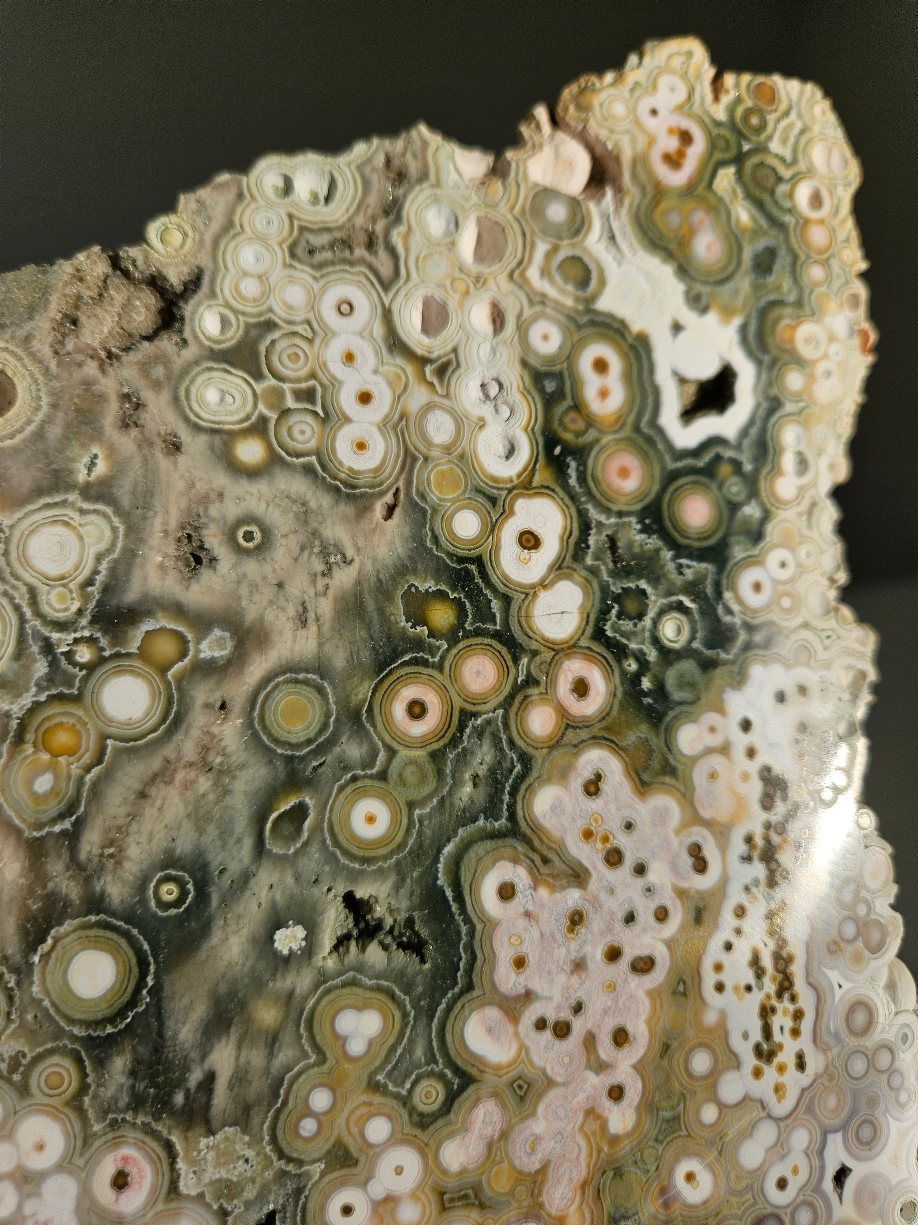 Sea Jasper Slab 001