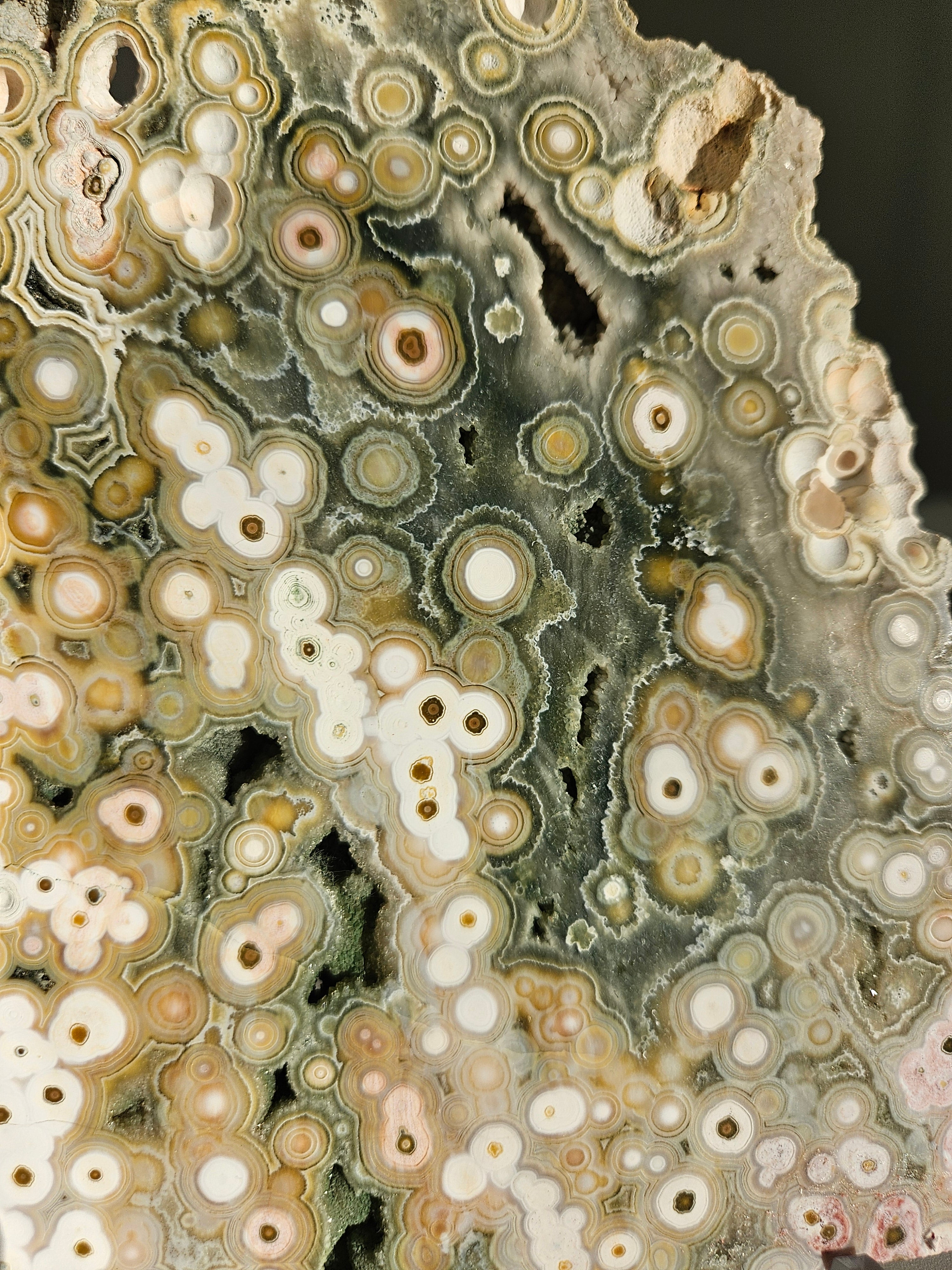 Sea Jasper Slab 002