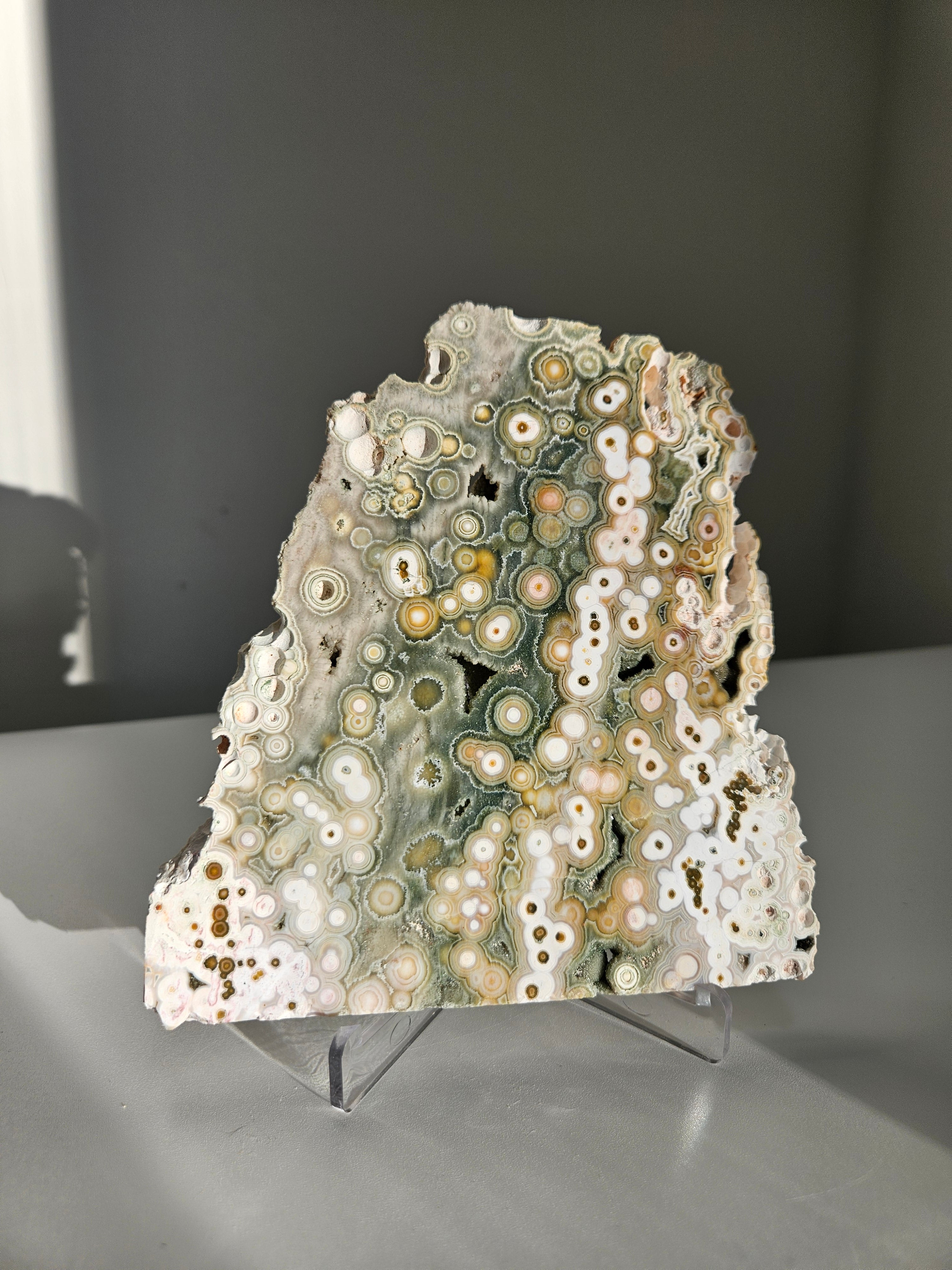 Sea Jasper Slab 002