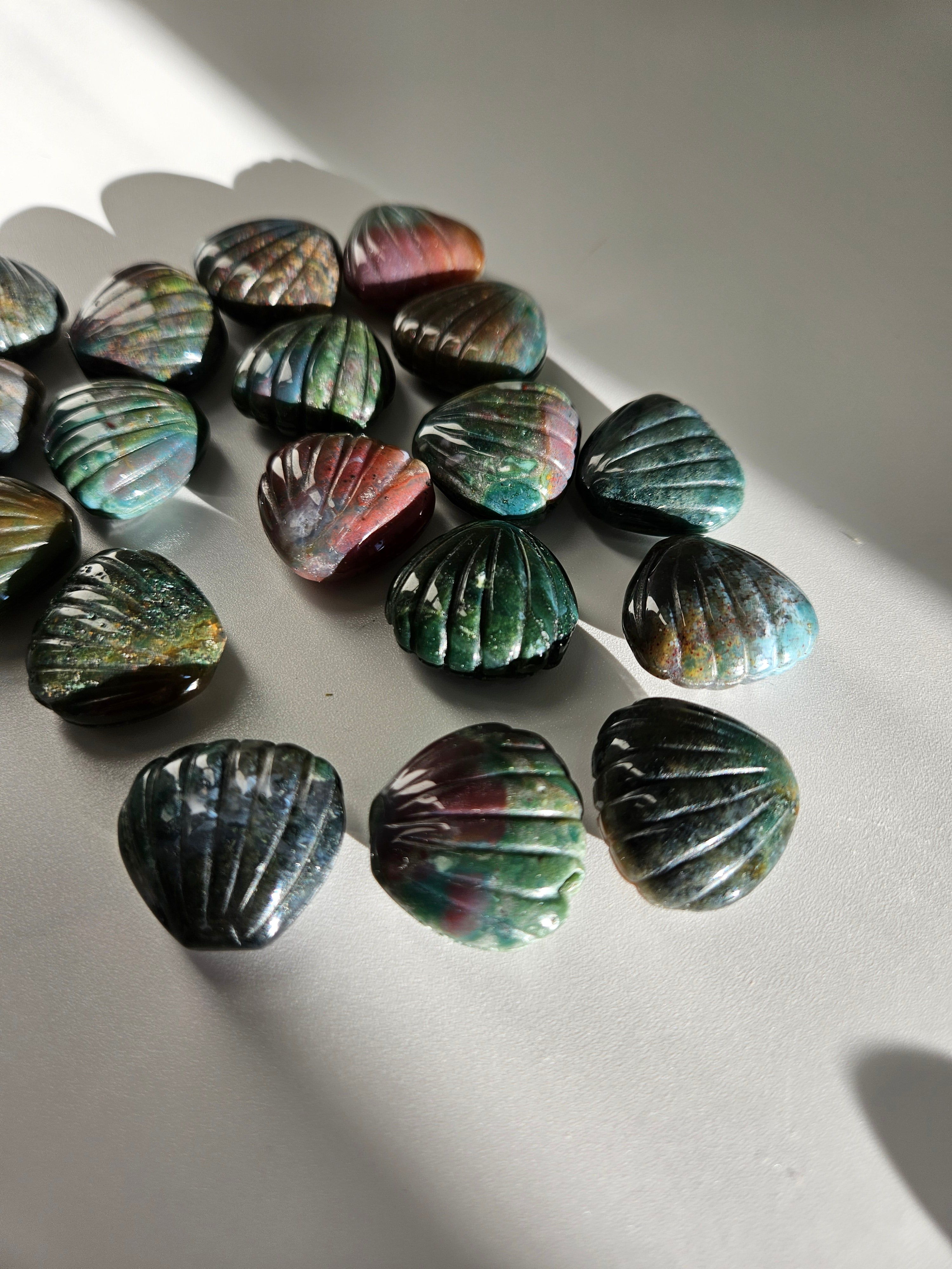 Sea Jasper Shells