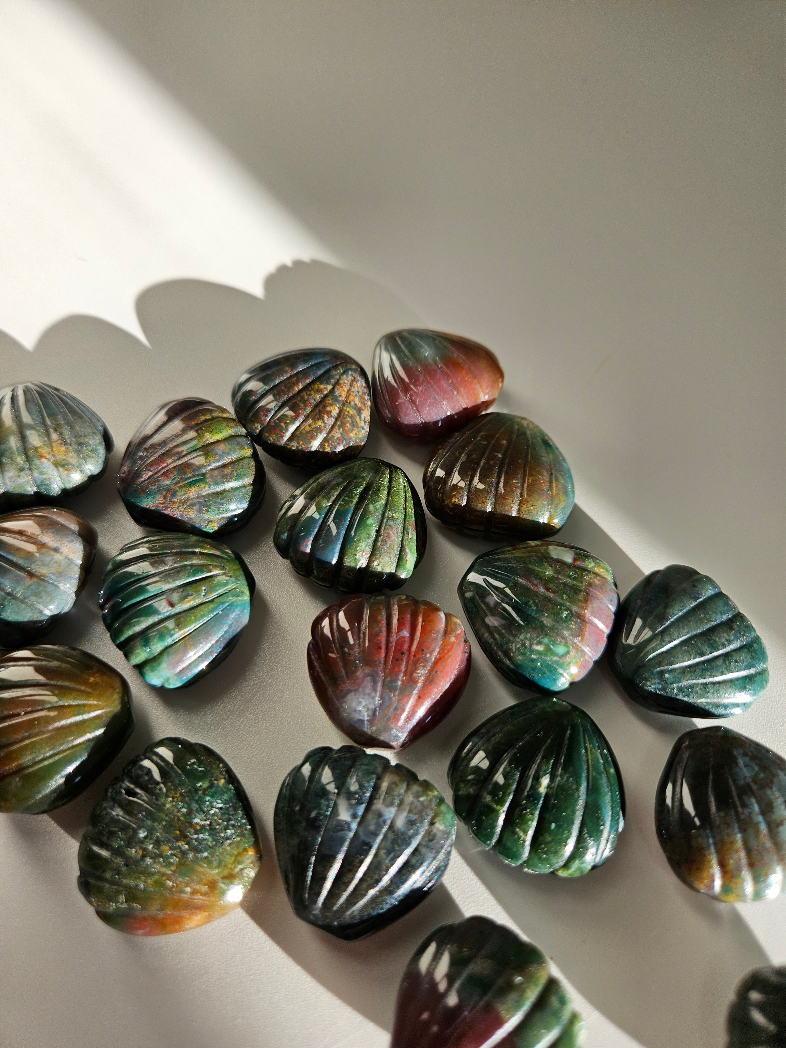 Sea Jasper Shells