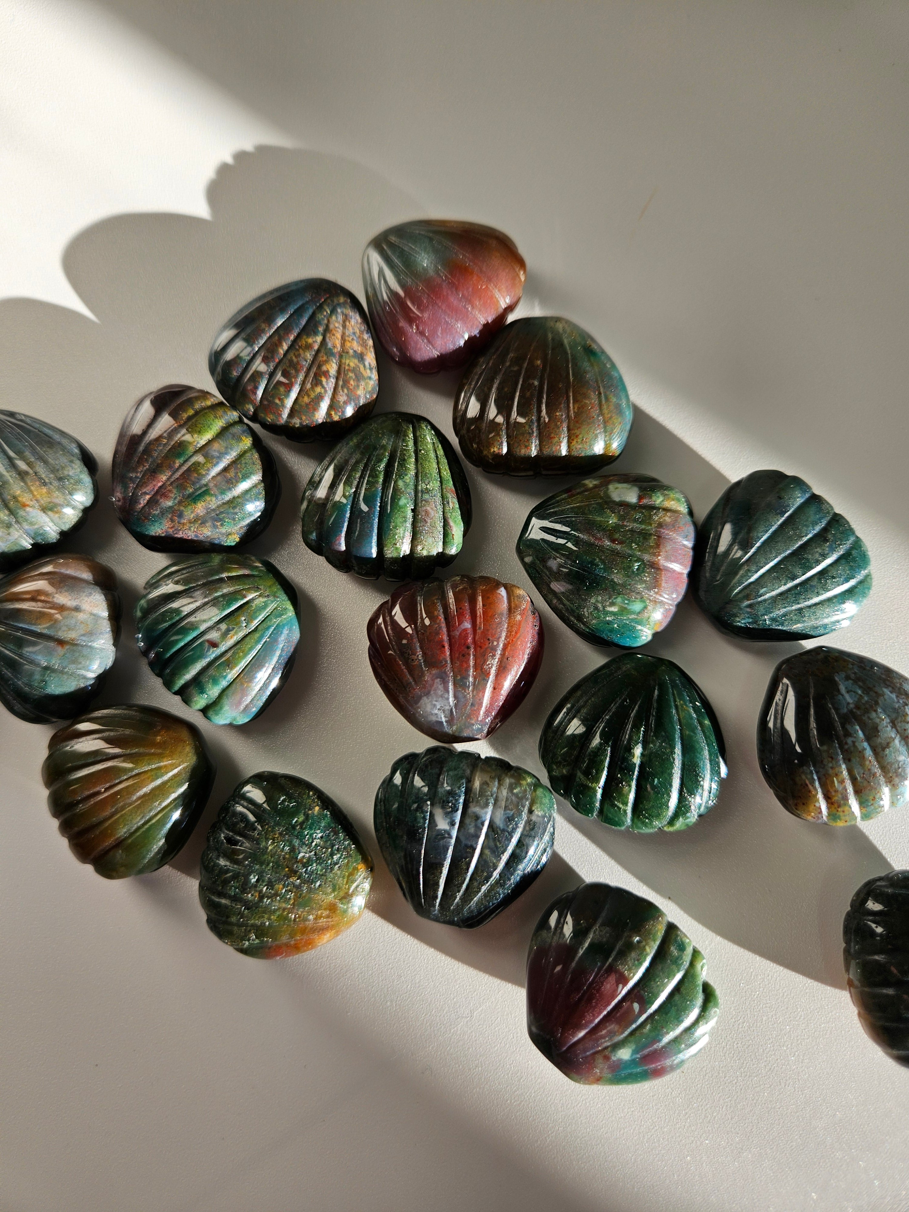 Sea Jasper Shells