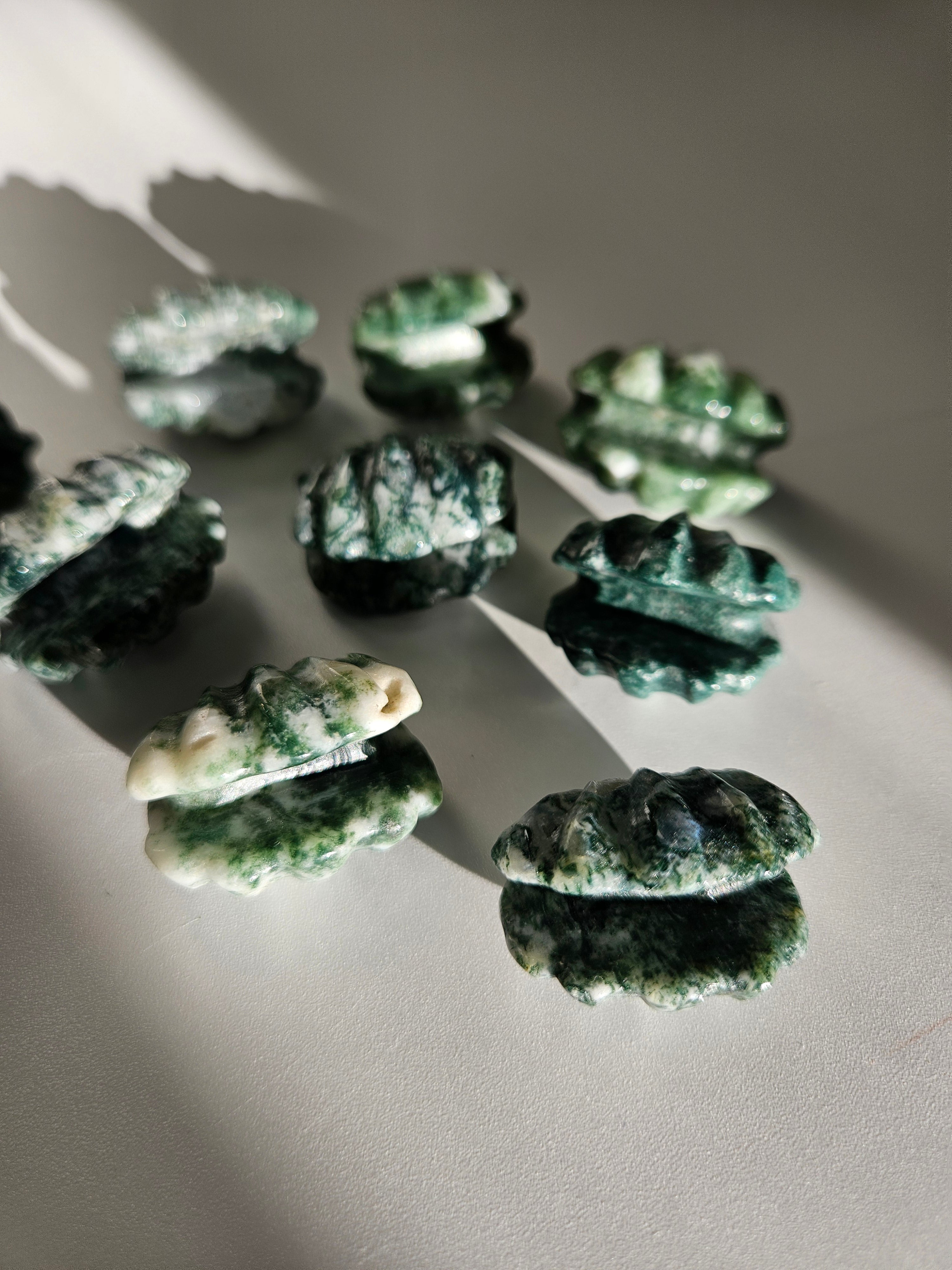 Moss Agate Shells