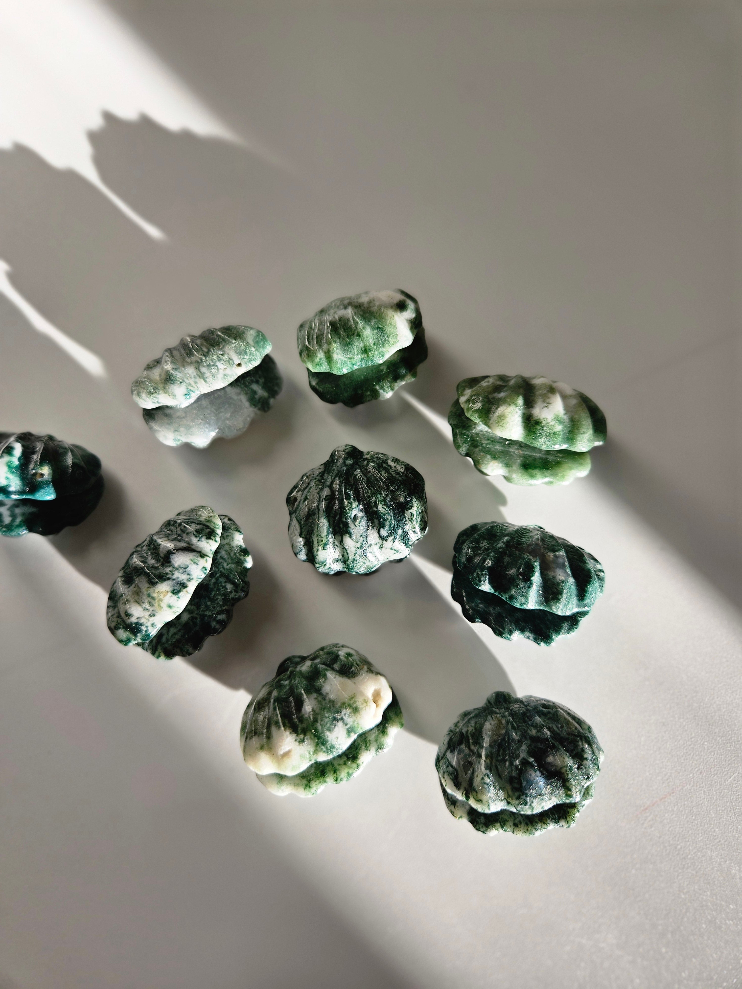 Moss Agate Shells