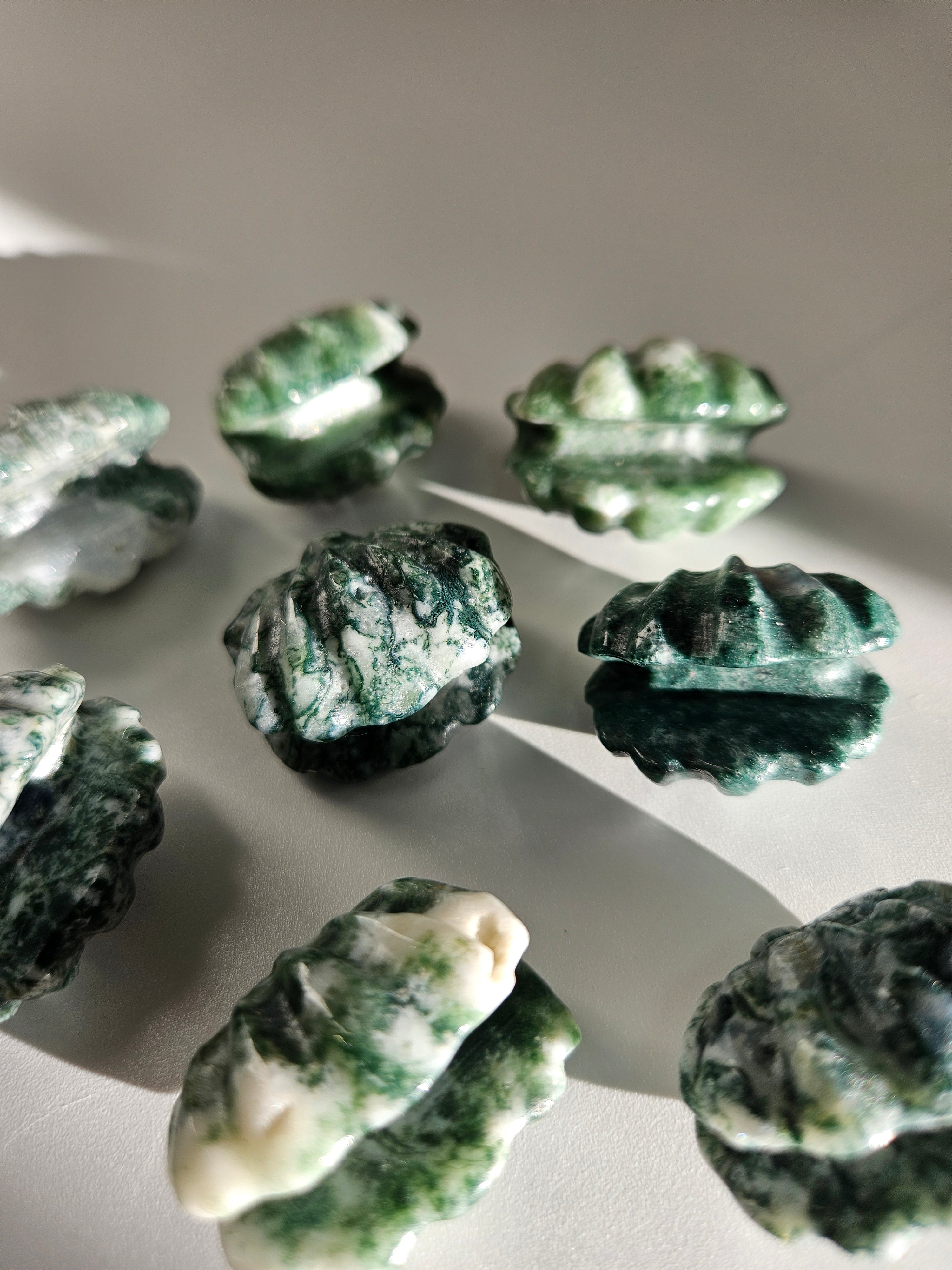 Moss Agate Shells