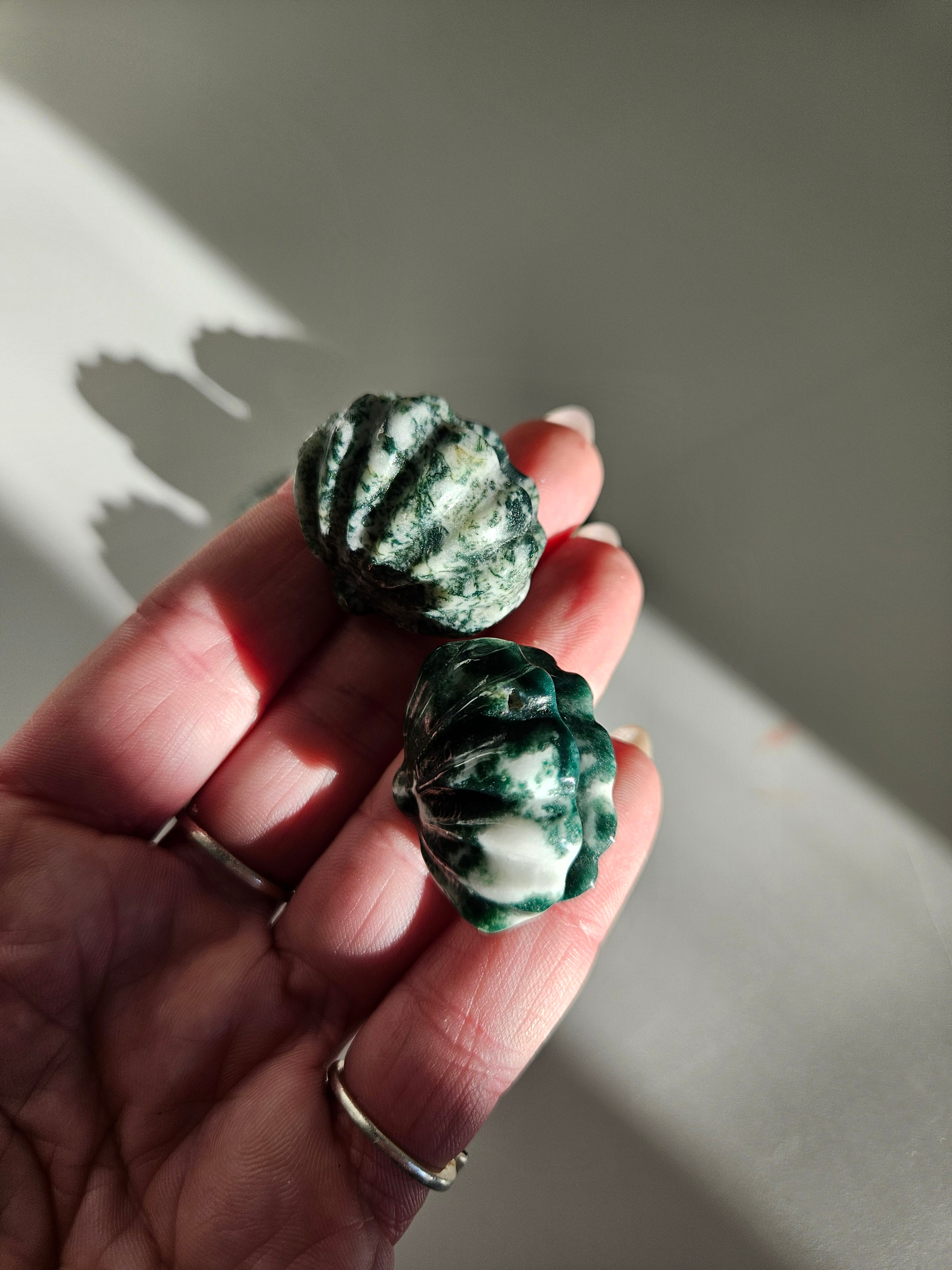 Moss Agate Shells