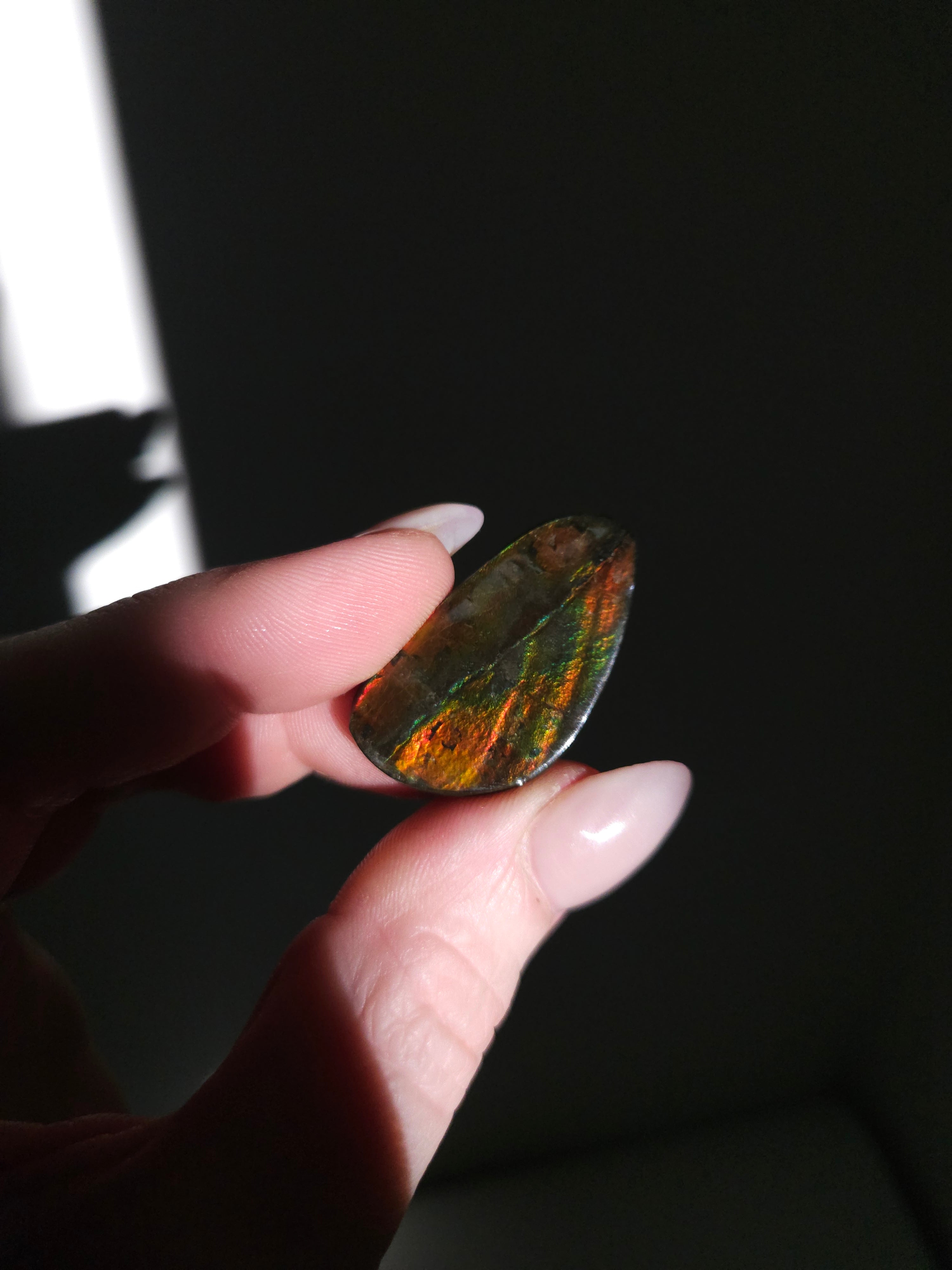 Iridescent Ammonite Specimen 002