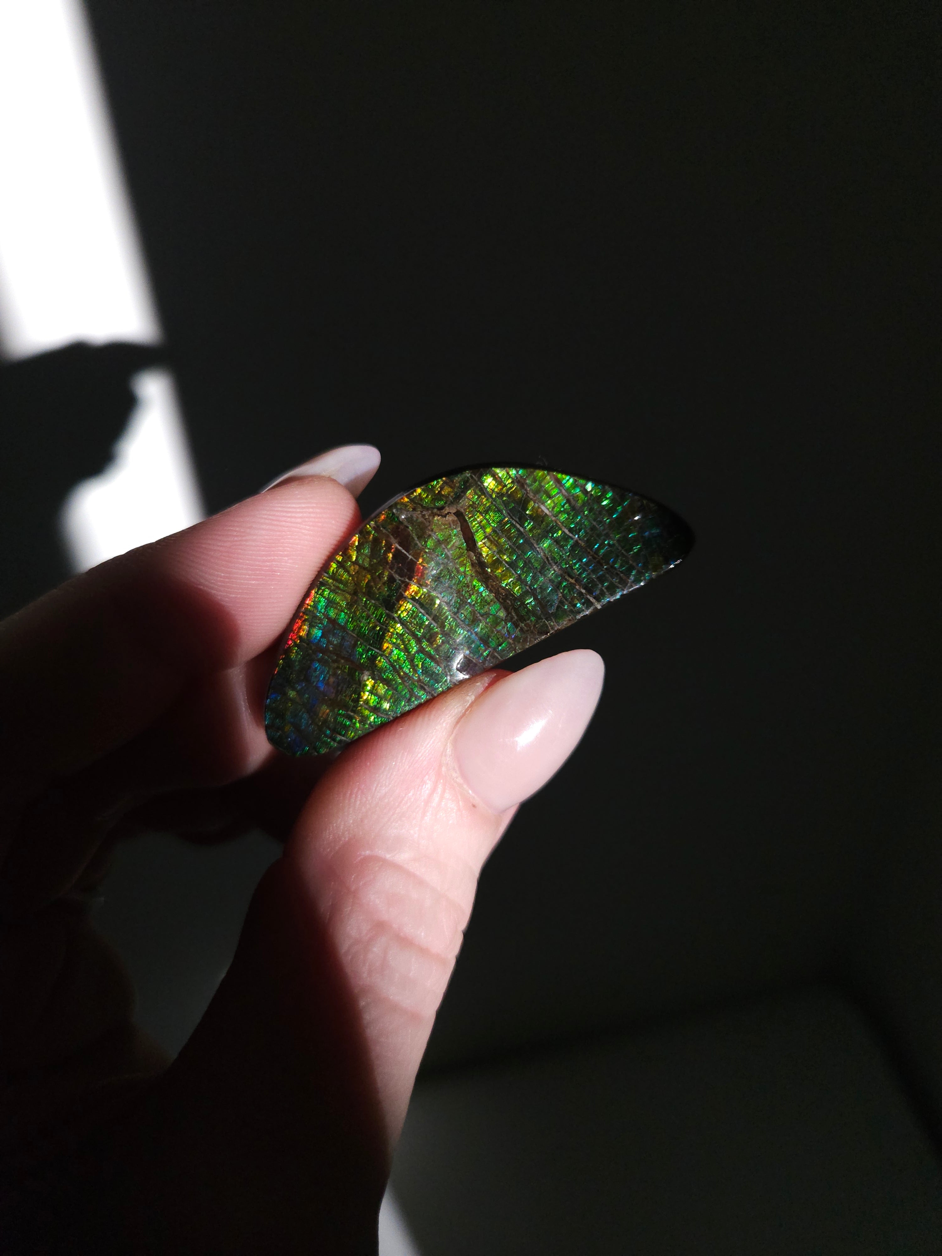 Iridescent Ammonite Specimen 003