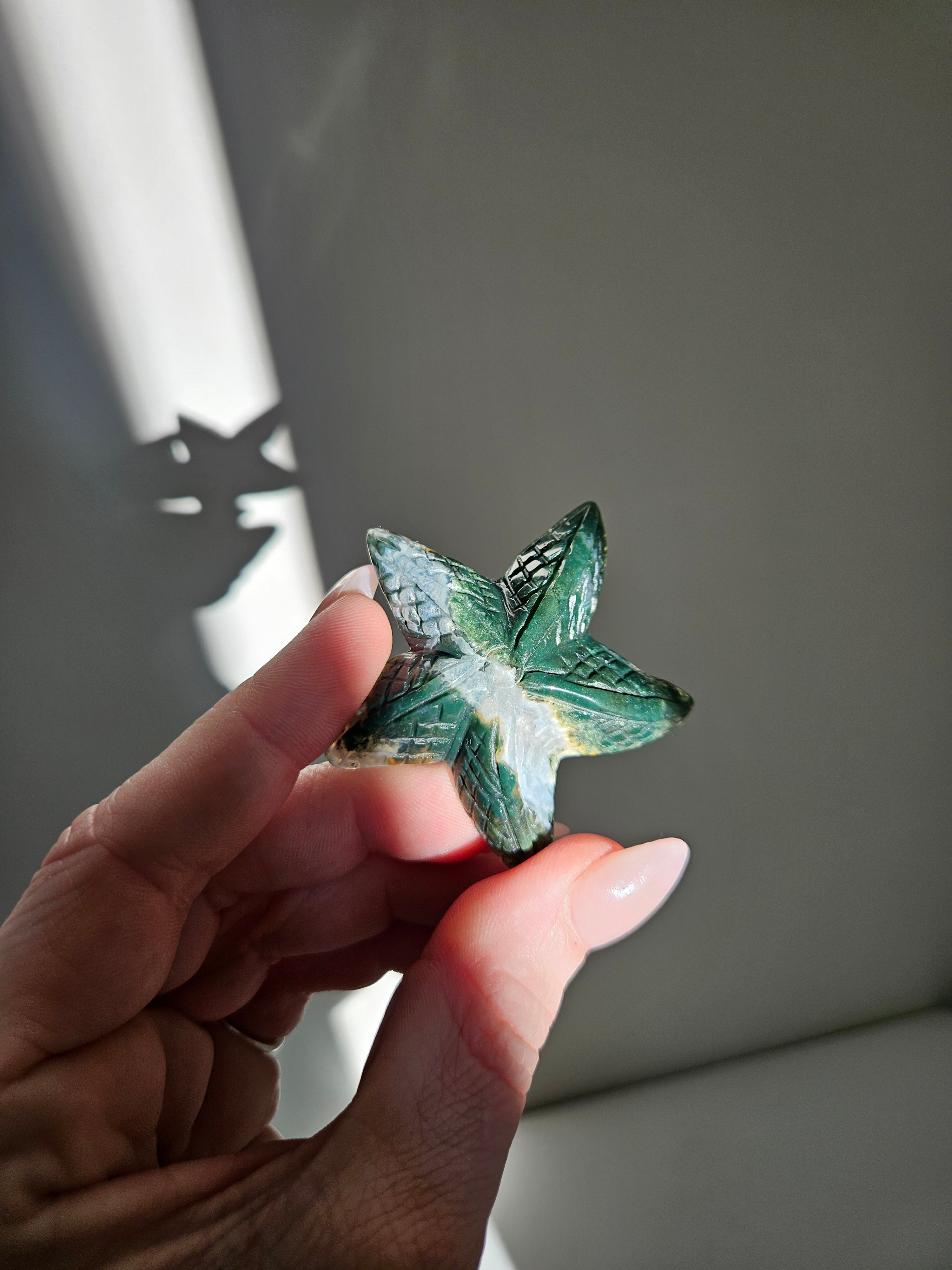 Moss Agate Starfish 004