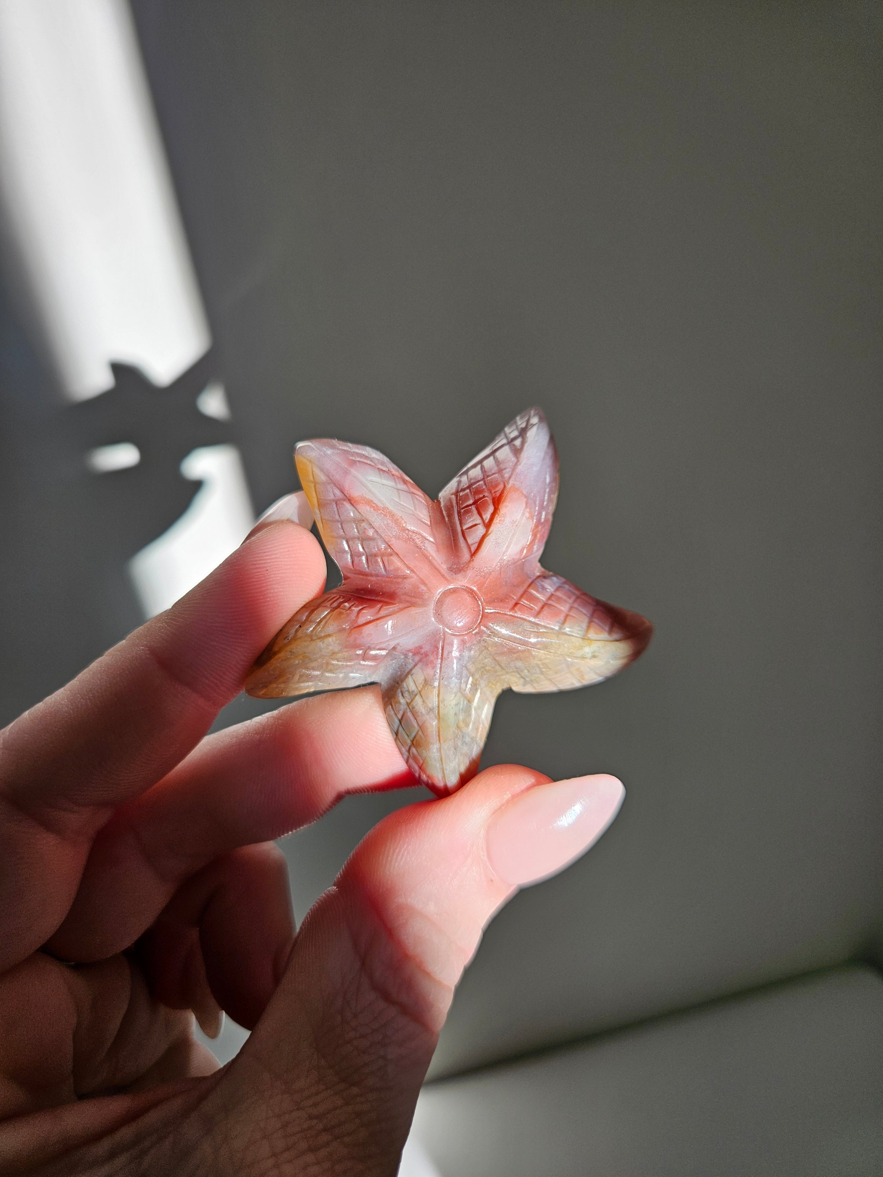 Sea Jasper Starfish 001