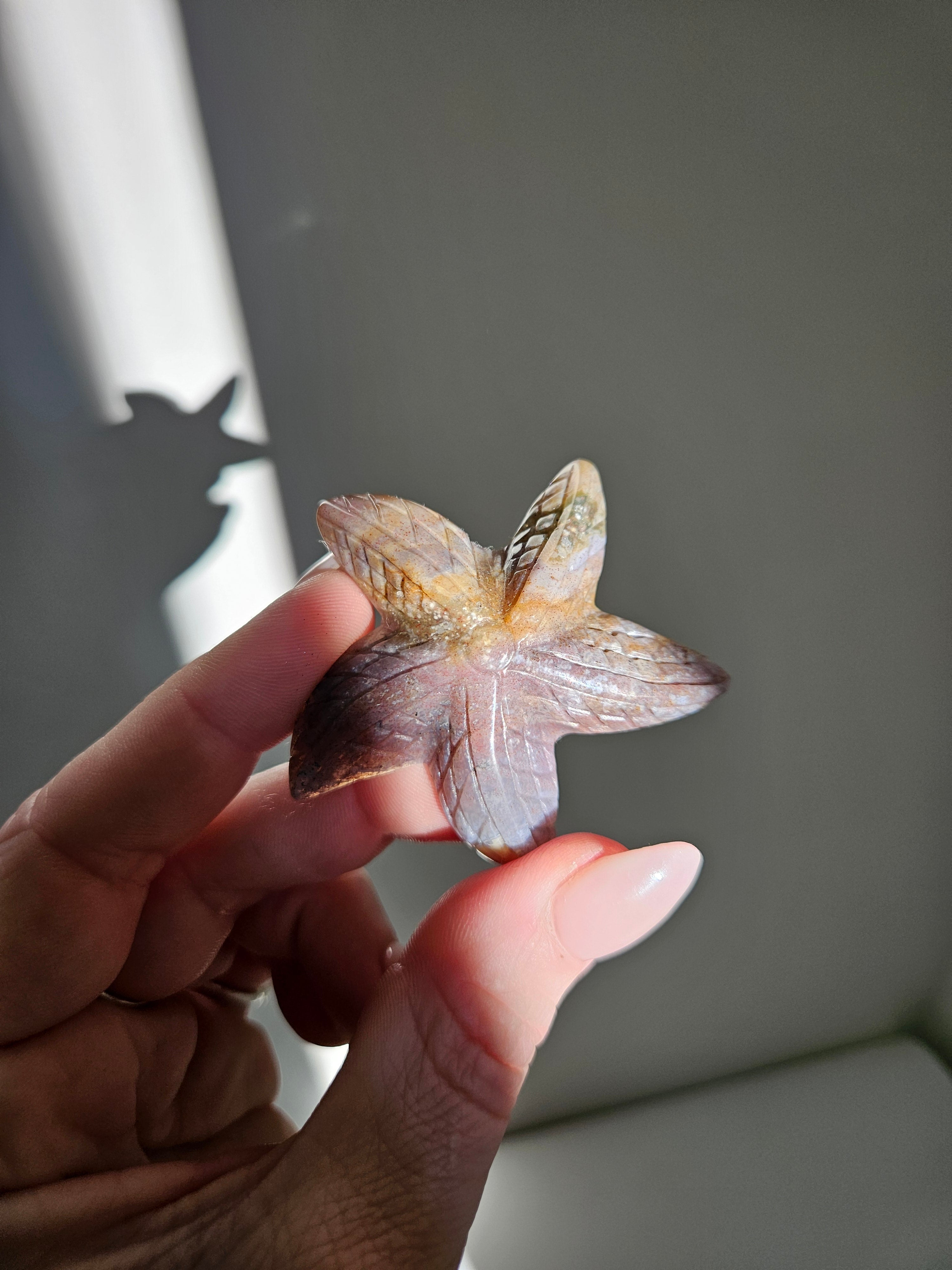 Sea Jasper Starfish 004